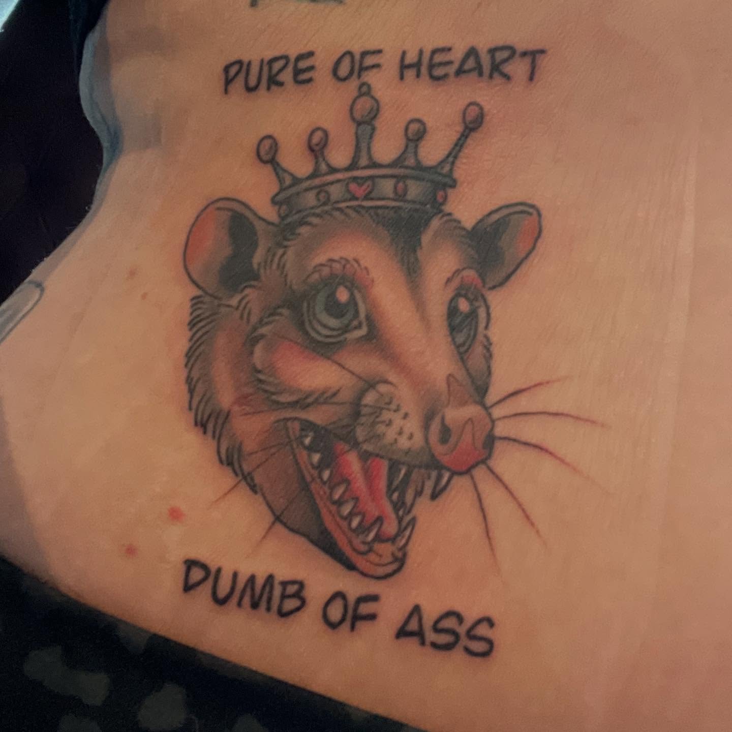 •*Therapy*•
#possum #opossum #tattoo #possums