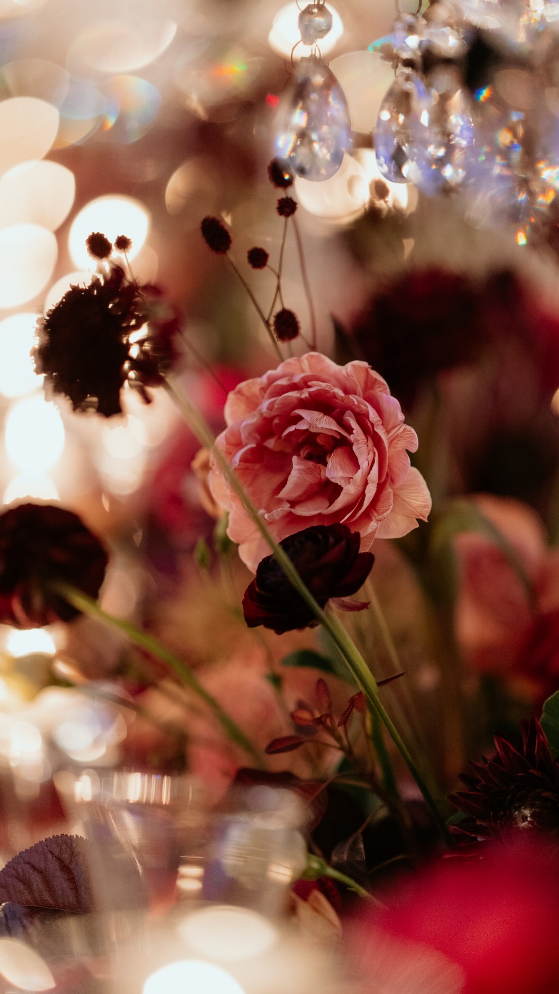 Čo sme schopní vytvoriť na nesvadobnom mieste, akým je napríklad jazdiareň Bratislavského hradu?
Ako vyzerá práca nášho tímu a čo sa deje na mieste svadby v čase, keď si nevesta a ženích užívajú prípravy? ✨
Aká bola reakcia Silvii, Tomáša a ich hostí, keď vošli do svadobnej sály? 🤍🤍🤍
Toto sú momenty, ktoré si užívame a za ktoré sme vďační 🙏
@panamera_zitnanski, ďakujeme za zachytenie momentov tohto výnimočného dňa!!!
A ďakujeme tým, ktorí spolu s nami tvoria dokonalé zážitky aj na tých najnáročnejších miestach 🤍🙏🤍
technika a svetelný dizajn: @fashionsound.sk
catering: @sharkam_bb_catering
výškové práce: @vyskoveprace_umyvanie_okien
plánovanie svadby a svadobný dizajn: @ambientes_weddings