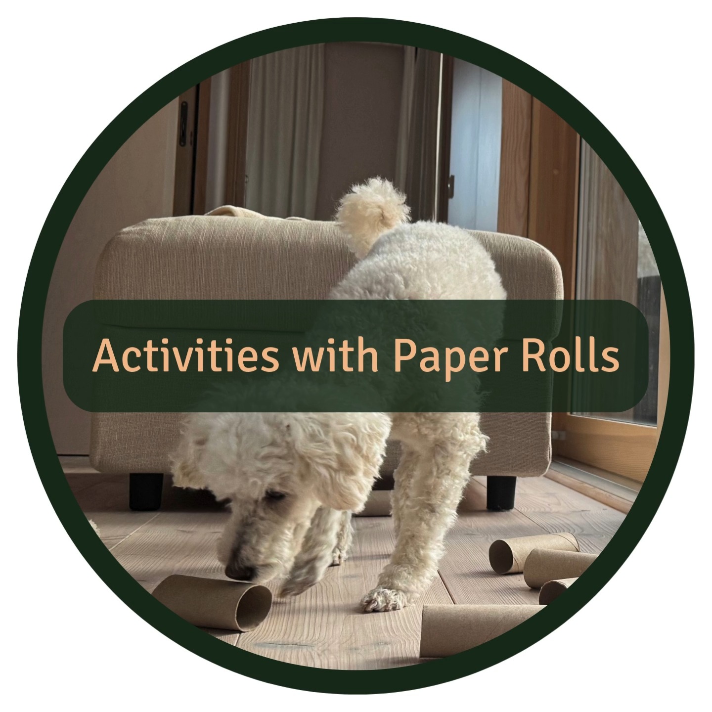 Got some empty paper rolls lying around? Why not turn them into quick, fun challenges for your dog? These simple ideas take no time to set up and add excitement to your dog's day — plus, they can even double as mealtime activities!
Ensure the difficulty is balanced: it should be stimulating enough to challenge without causing frustration.
🎲 Serve Meals Creatively
Place kibble or treats inside a paper roll and fold the ends to seal it. Let your dog figure out how to get their meal!
📦 Box of Fun
Take a few paper rolls, scatter some treats inside, and place them in a shallow box. Your pup will love digging around to solve the challenge!
🧵 String Surprise
Thread a few paper rolls onto a string, hiding treats inside each one. Hang it low enough for your dog to reach and let them work out how to get the goodies.
🌳 Outdoor Adventure
Fill rolls with treats, then hide them in the yard or around the house. Encourage your dog to sniff and track them down.
#dogmentalstimulation #DIYdogtoys #dogactivity #dogenrichment