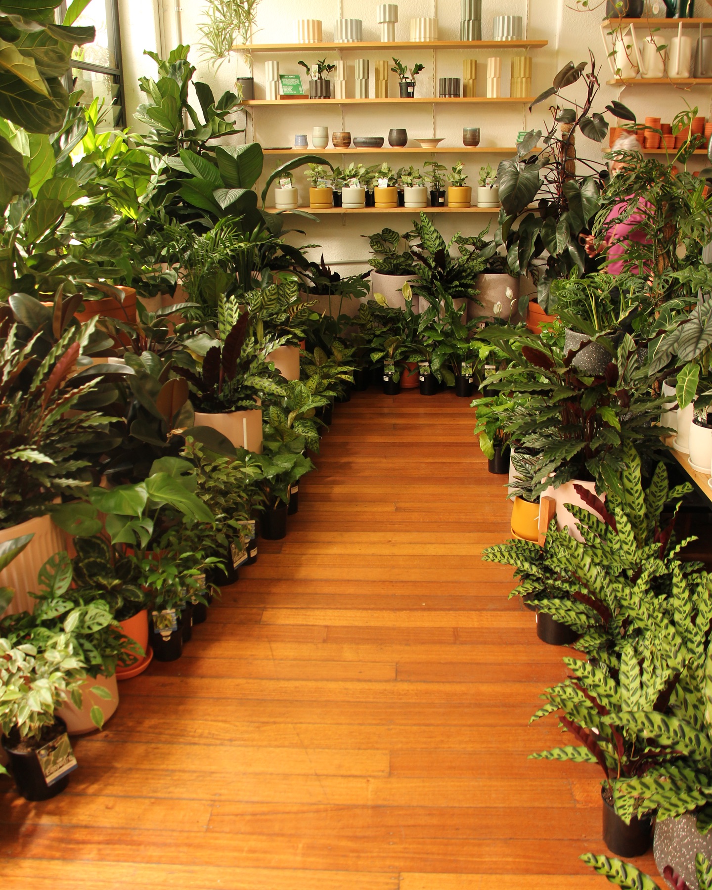 Hope everyone had a fun and relaxing Christmas!
We are open today 10-4pm and tomorrow 10-3pm then closed for the 1st and 2nd for a little New Years break, but straight back at it on the 3rd.
Cheers to all the planty people that have supported us this year.
Bring on 2025! ✨
See you there.