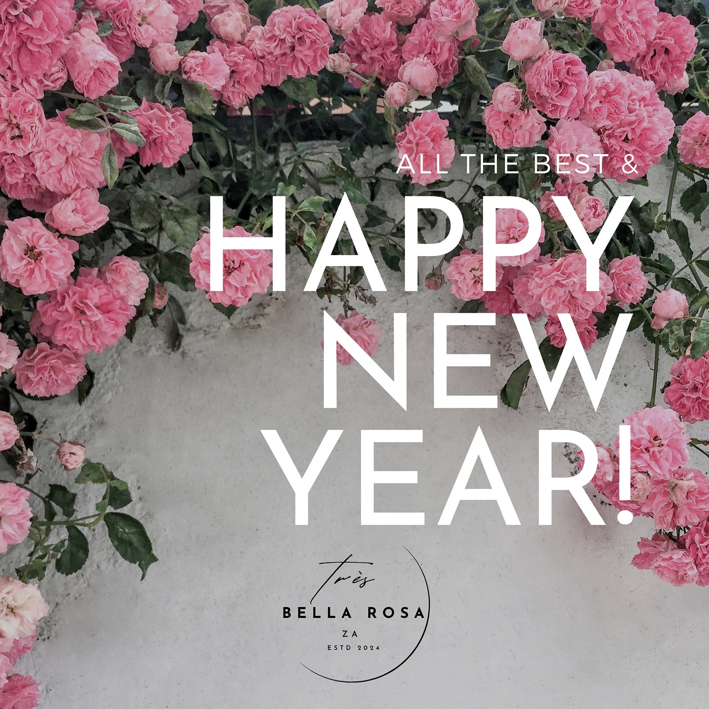 What a wonderful year 2024 has been✨ we pushed boundaries and goals for ourselves and all thanks to your support🩷
2025 will be great, Happy New Year!!
#tresbellarosa #tresbellarosaza #love #happynewyear #2025 #florist #roses #flowers #giftideas #entrepreneur #success