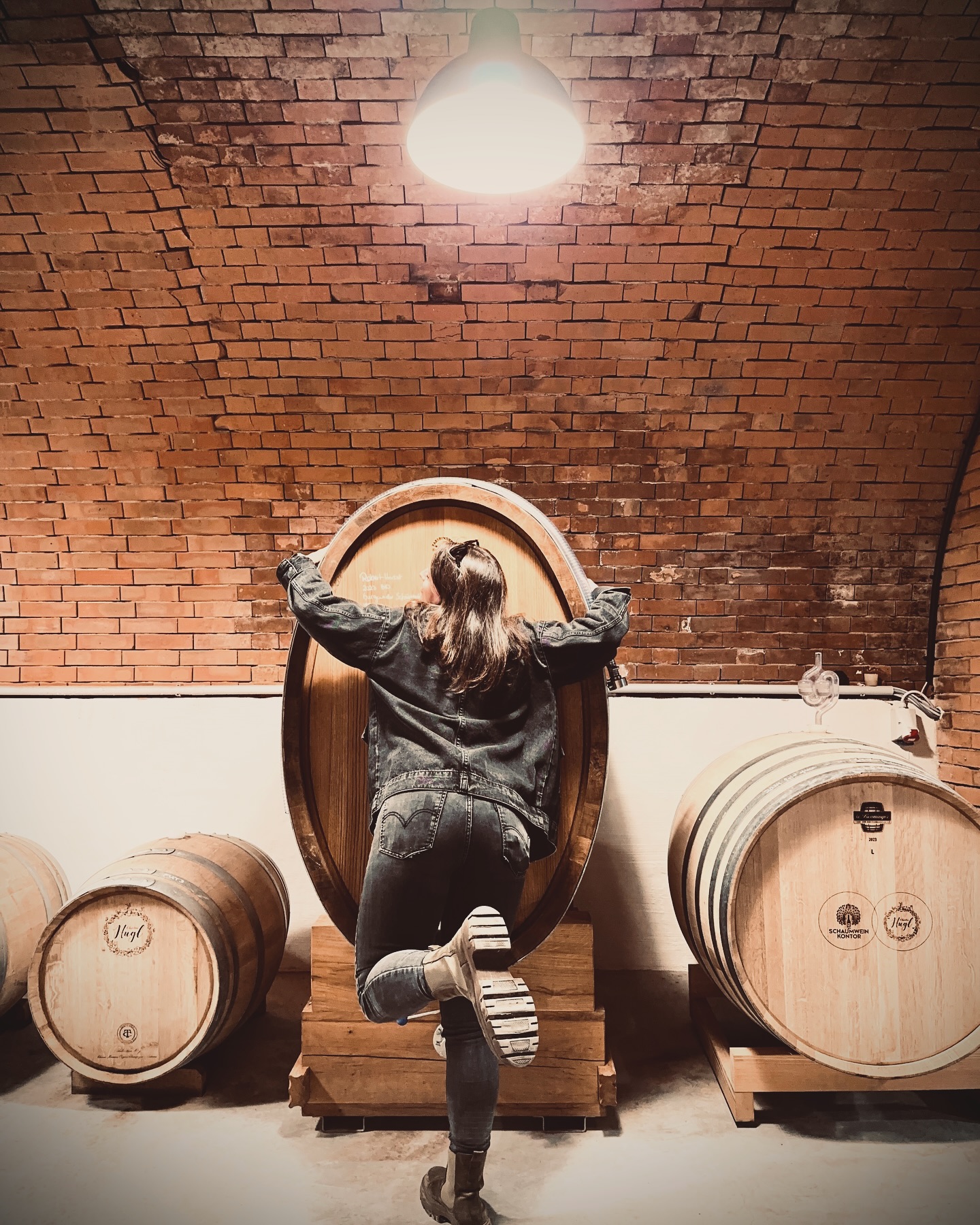 Grundsätzlich gut, aber a paar Mal auch recht oasch. 🌞 Möge das Erwachsensein im kommenden Jahr weniger anstrengend sein und möge es allen Hundsis im kommenden Jahr besser gehen als in diesem ❤️🩹