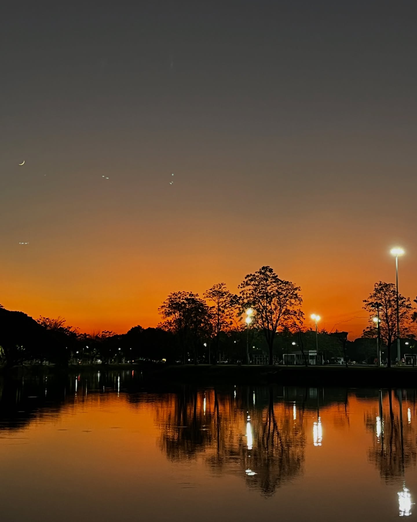 The views keep you going 🏃♂️ 🤩
#training #dog #sunsetphotography #fog #running #adv #travel #views #fsgs #kidneytransplantrecipient