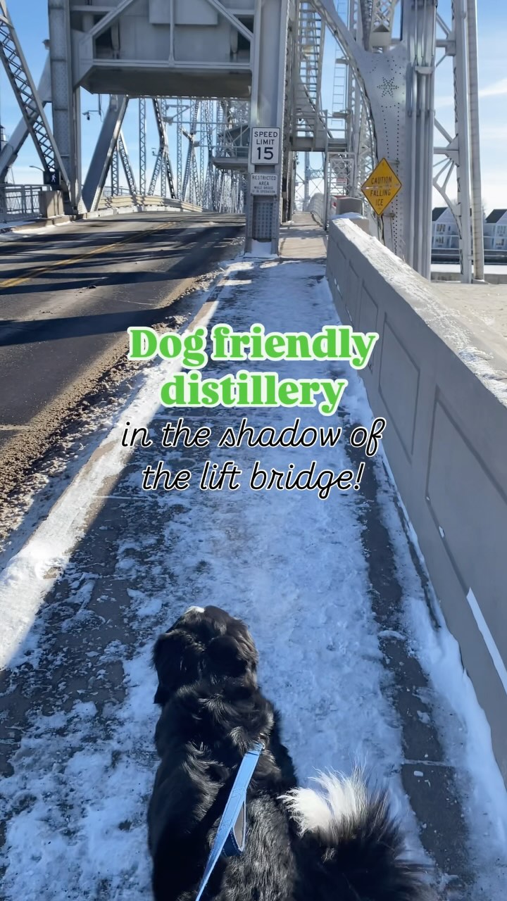 Here’s an INDOOR spot you can bring your dog for a drink in Duluth! 🥃
📍 @vikredistillery - Duluth, MN
Right next to the lift bridge (great photo op!), sidle in to Vikre with your leashed pup for a cocktail or two. The menu’s always changing, and there are N.A. options too if that’s more your speed. Water bowls available for thirsty pups 🙂
Note that the cocktail room is cozy and tables are close together - know your dog and set them up for success when visiting dog friendly spaces! 🫶🏻
Have you visited Vikre?