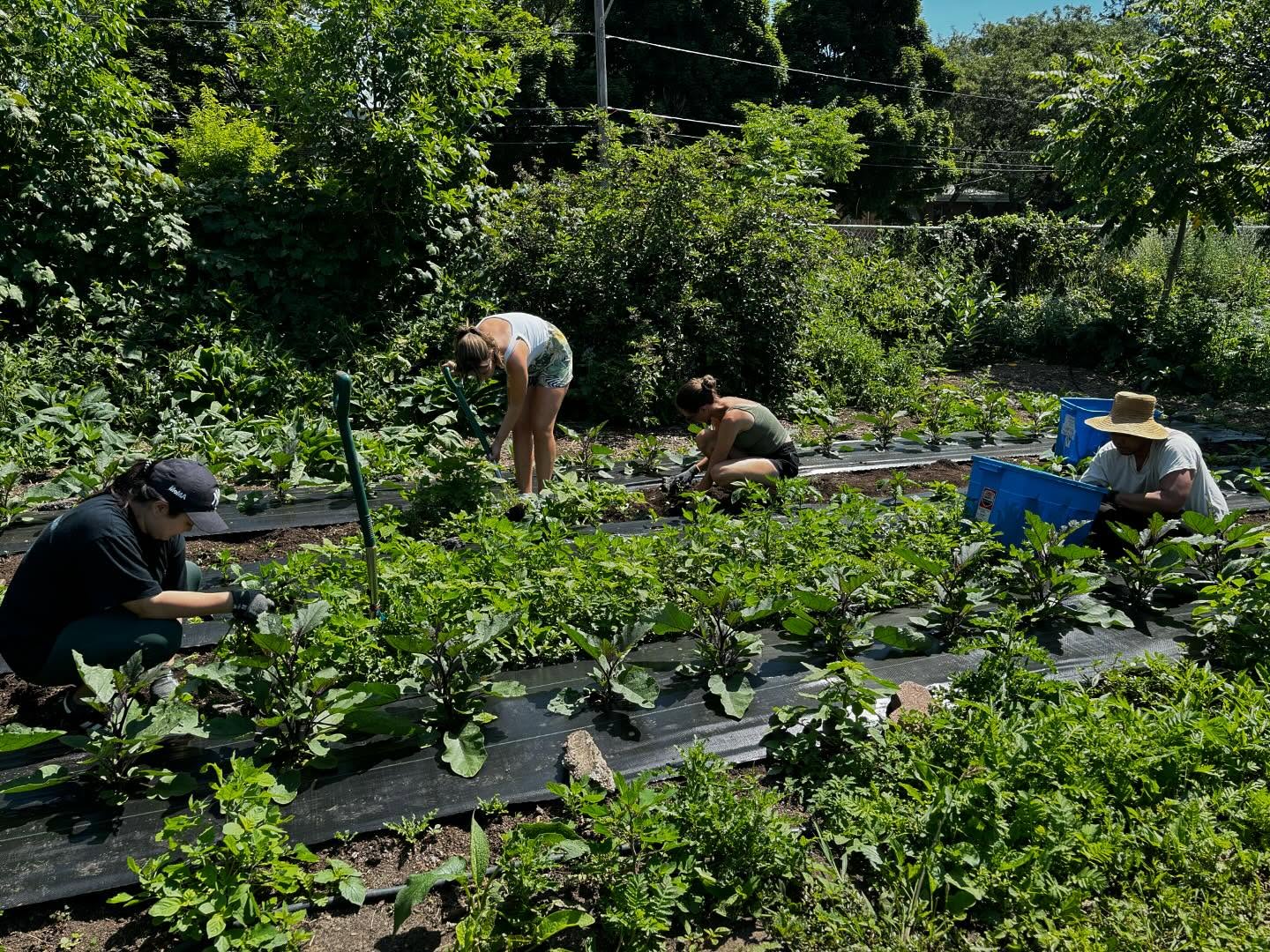 As we bid farewell to 2024, we look back with gratitude for the incredible support we’ve received from our community. Our mission to strengthen community wellness continues into the New Year. Let’s make 2025 a year of change, growth, and peace. From all of us at The PACT Urban Peace Program, we wish you a Happy New Year filled with joy and prosperity! 🎉🍾 #PACTUrbanPeace #NewYear #CommunityWellness