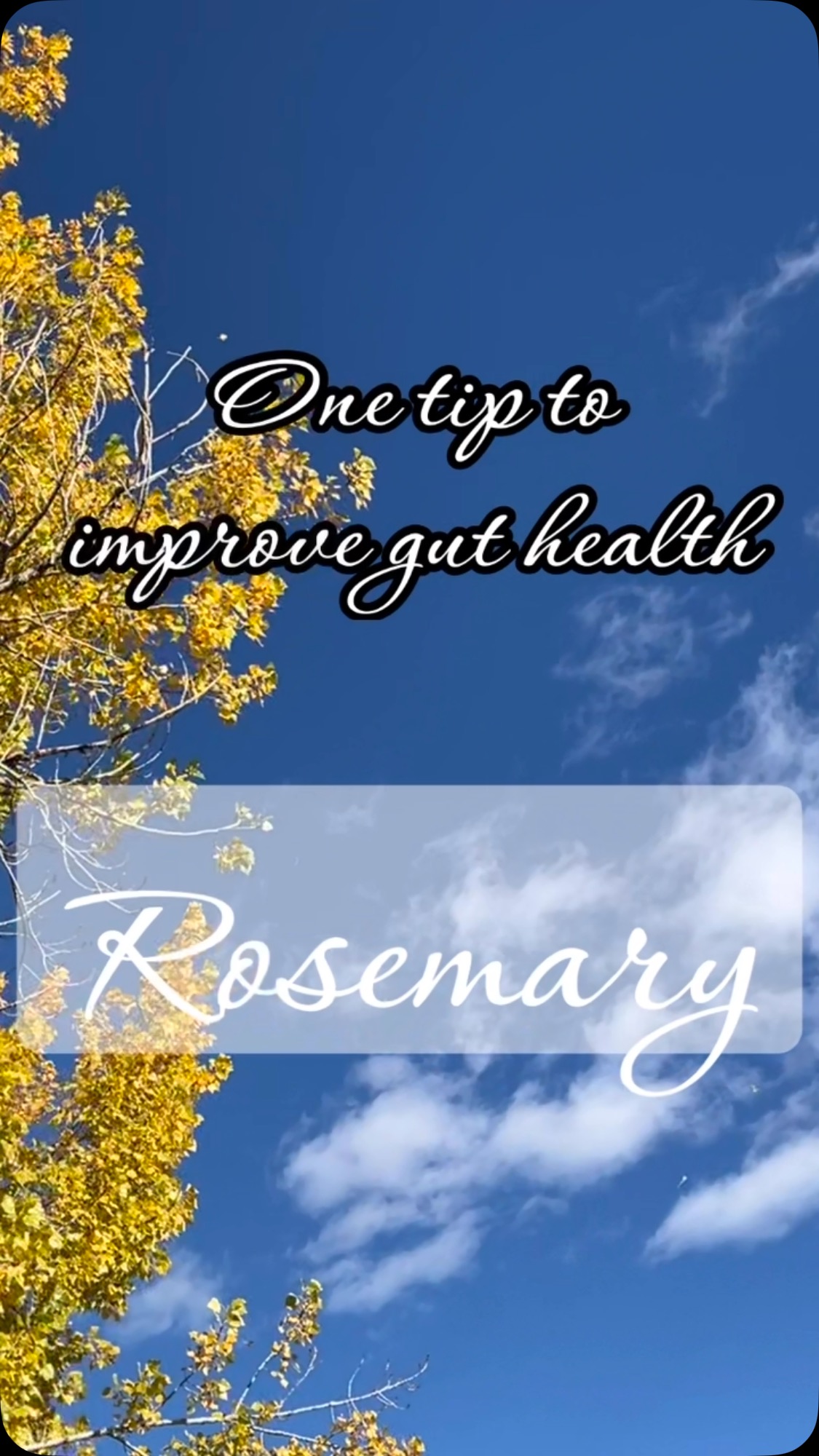 🌿 Rosemary: the underrated herb with BIG benefits!
Did you know rosemary supports gut health, weight management, digestion, and bile flow? Plus, it helps balance your microbiome! 💚
💧 Rosemary Mineral Cocktail Recipe:
• 6-8 oz coconut water (or half sparkling water)
• 1 sprig fresh rosemary
• 1/4 tsp pink salt
• Splash of kombucha or tea
• Handful of frozen cranberries
🌱 Get creative: add rosemary to roasted veggies, soups, or steep it in tea for a flavorful health boost!
Nourish your gut and enjoy the benefits—naturally and deliciously! 🩵
#RosemaryBenefits #GutHealthTips #HerbalRemedies #HolisticHealth #MineralCocktail #HealthyLiving #NaturalWellness #DigestiveHealth #WeightManagement