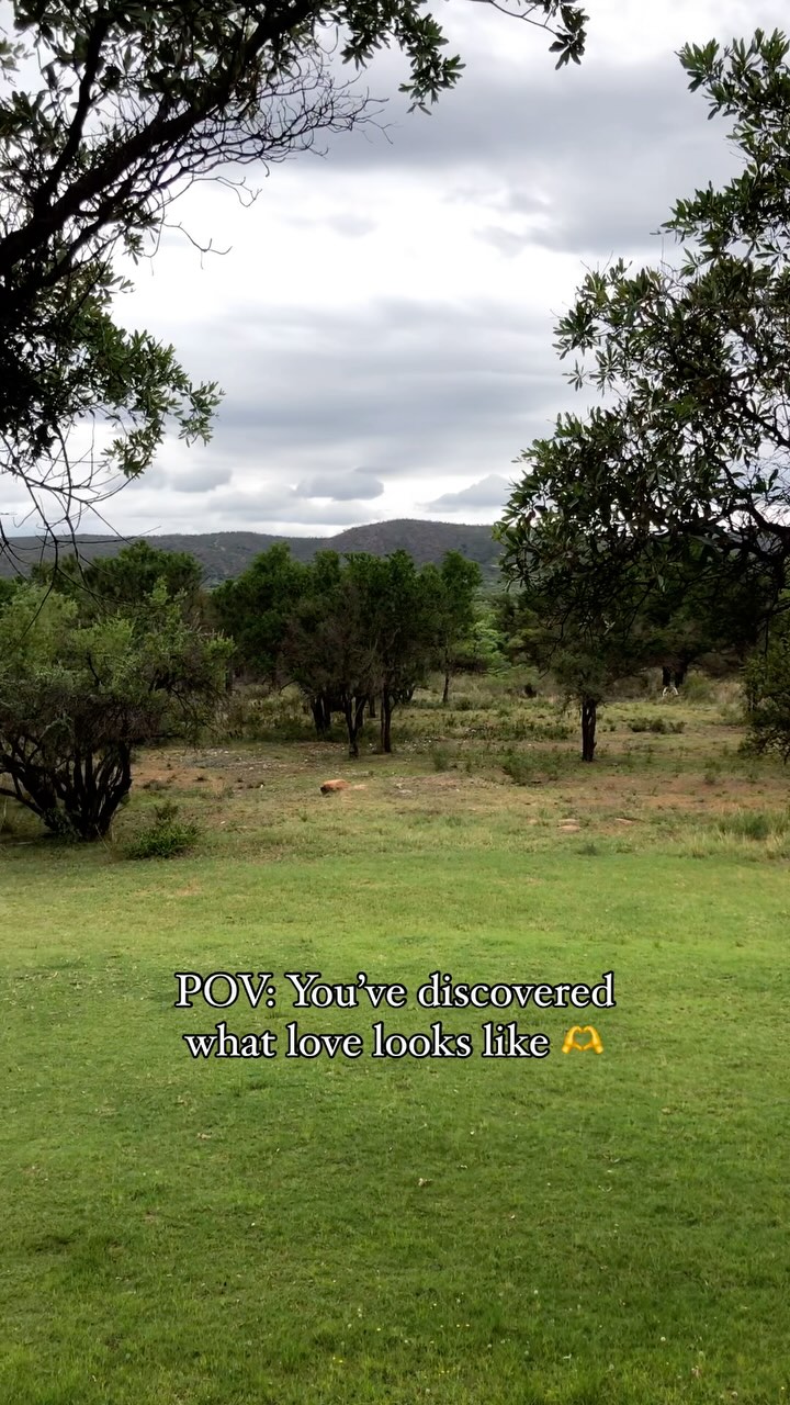 POV: You’ve discovered what love looks like 🫶
We’re here to make your stay truly unforgettable, adding a little extra love to every moment! ✨
Enquire about your next bushveld getaway or event:
➡️ info@wildwoodvenue.com
#WildwoodEventsVenue #WeddingVenue #LimpopoWeddings #GautengWeddings #BushveldWedding #DestinationWedding #WeekendWedding #SafariWedding #WeddingInspo #WeddingSeason #SAWeddings #SouthAfricaWedding