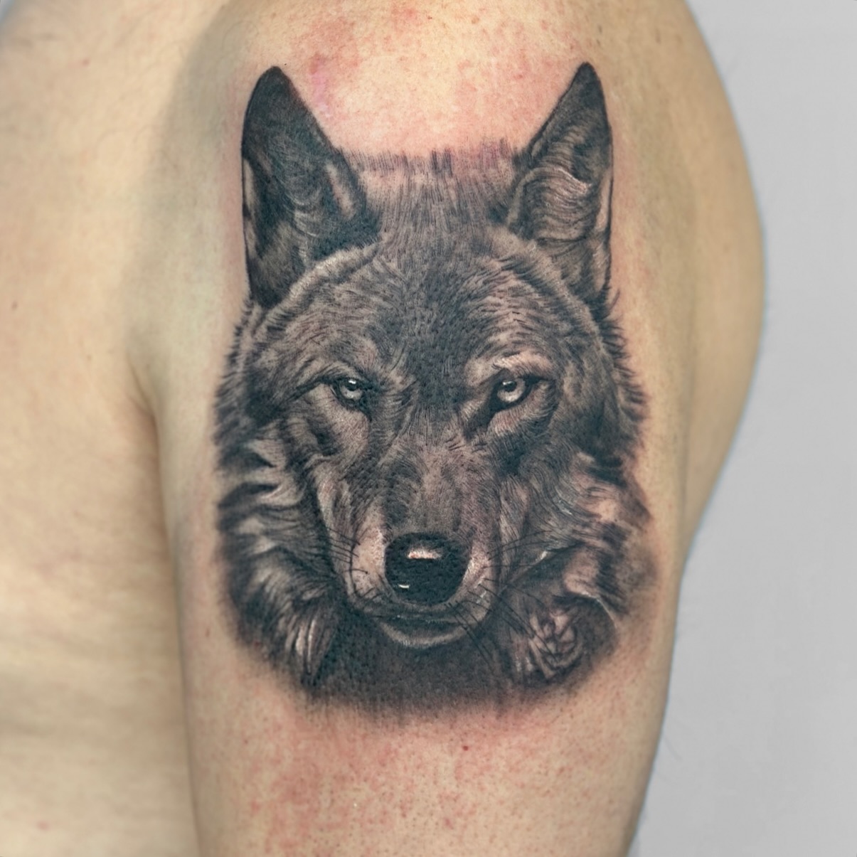 Gestochen von @mavinci_art #tattoo #arbon