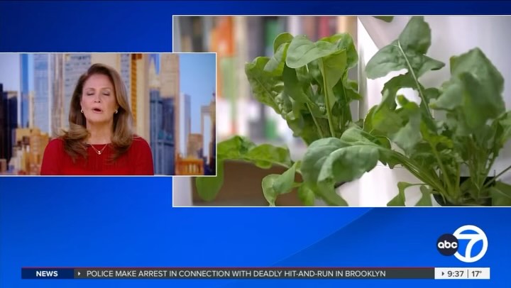 🌟 Exciting News! 🌟
We are thrilled to announce that Plant Up was recently featured on ABC NEWS in partnership with Brentwood Schools! 🎥🌱
This incredible collaboration brings sustainability to life through
🌱hands-on learning
🌱curriculum integration
🌱nutrition
By working together, we’re fostering eco-friendly practices, teaching students the importance of SUSTAINABILTY, and inspiring them to take an active role in shaping a healthier, greener future. 🌍✨
A huge thank you to @bufsdny and @abcnews for helping us amplify our message and create a lasting impact. We look forward to continuing this journey of growth, education, and positive change in our community!
Check out the full segment and stay tuned for more exciting updates. 💚
#PlantUp #Sustainability #ABCNews #growingwithplantup #HandsOnLearning #CurriculumIntegration #GreenFuture #Nutrition #EnvironmentalEducation #agintheclassroom #schoolseeds #plantswithapurpose #verticalgarden