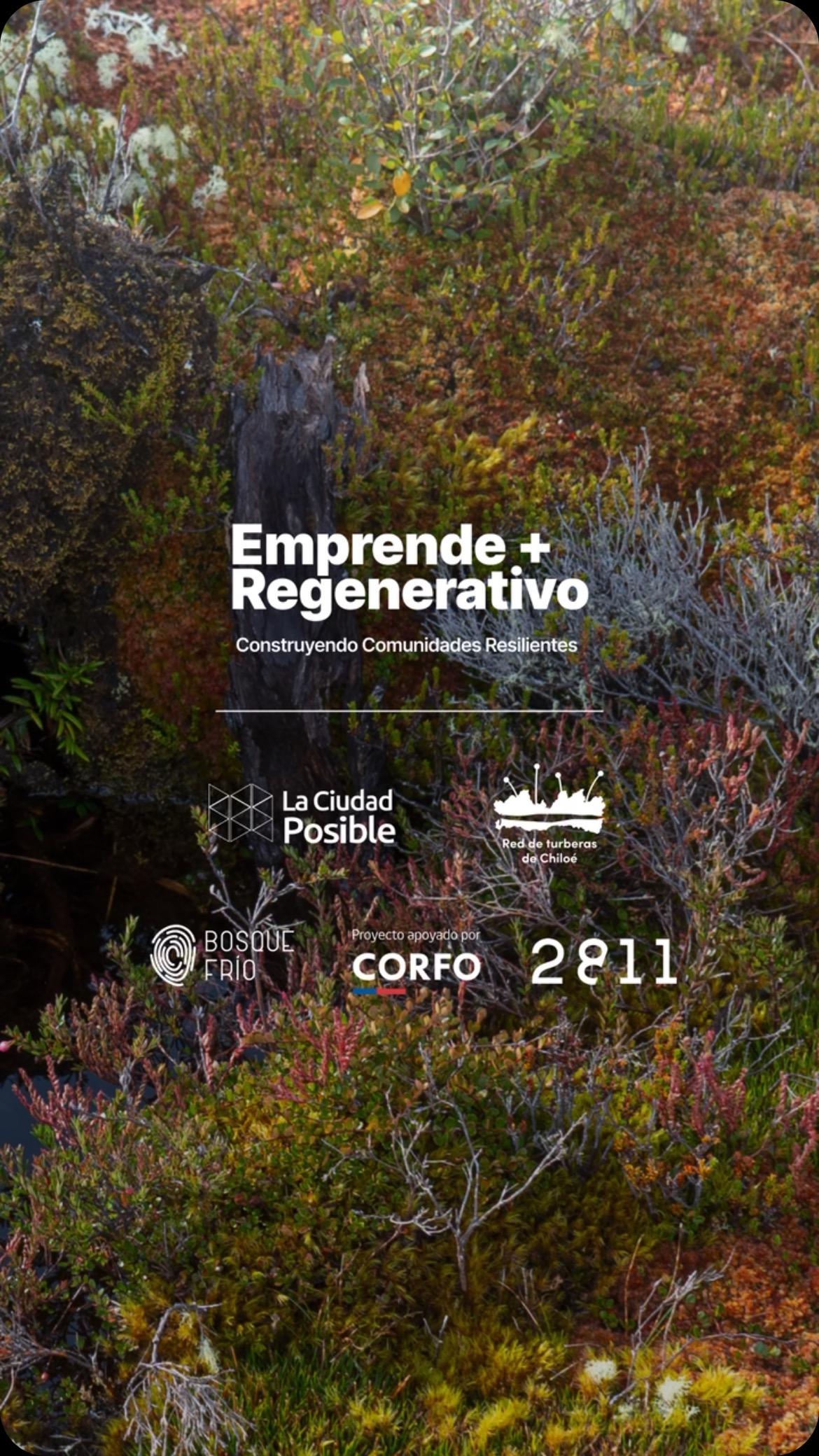 🚀 Cerramos con éxito el programa Emprende + Regenerativo, iniciativa apoyada por Corfo Los Lagos y ejecutada en Chiloé por La Ciudad Posible, 2811 y Bosque Frío.
Durante el programa, más de 30 emprendedores de Chiloé, entre 25 y 54 años, se formaron en prácticas regenerativas y sostenibles para fortalecer sus proyectos. Con 7 módulos impartidos y 40 horas de formación, logramos identificar 14 proyectos innovadores enfocados en generar un impacto positivo en sus comunidades. 🌱
Bajo nuestro objetivo “Pequeñas acciones locales, grandes impactos globales”, buscábamos promover la sostenibilidad, la regeneración ecosistémica y un desarrollo económico desde lo local. Juntos, seguiremos construyendo comunidades resilientes.
#EmprendeMásRegenerativo #LaCiudadPosible #Sostenibilidad #InnovaciónLocal #DesarrolloEconómico #Chiloé #ComunidadesResilientes