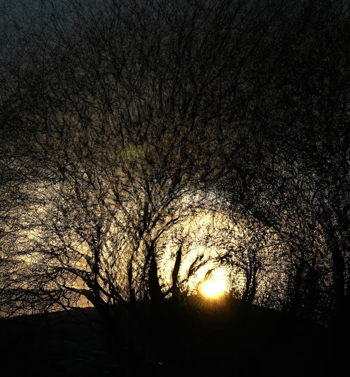 LET THE SUNSHINE IN… #multiexposure #mehrfachbelichtung #experimentellefotografie #sky #sunlover #mystery #visualart #incamera #nophotoshop #fineartphotography #abstractart #inmotion #experimentalphotography #motion #fineart #artography #camerapainting #sun #light #shadows #beauty #sunlight #celebrationoflight #ontheroad #sunset #trees #beautyofnature #driveby #drivebyshooting #cloudporn