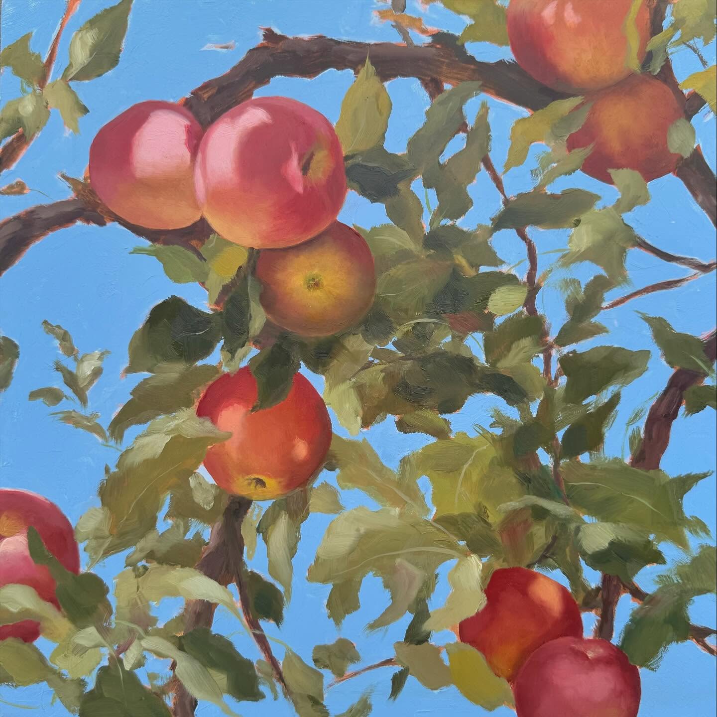 Happy 2025! I’ve been hiding away from IG for so long. It feels like I’m emerging from a dark cave blinking into the sun, but here I am again. Here’s to more painting and more posting and more real connections this year.
This 10x10 oil on panel brings me back to glowing fall scenes, but we are definitely enjoying the slow, comfortable, cozy pace of these chilly post-Christmas days. Hope your holidays were magical.
#happynewyear #2025 #oilpainting #applepainting #newyearsgoals #doitfortheprocess #artforyourhome