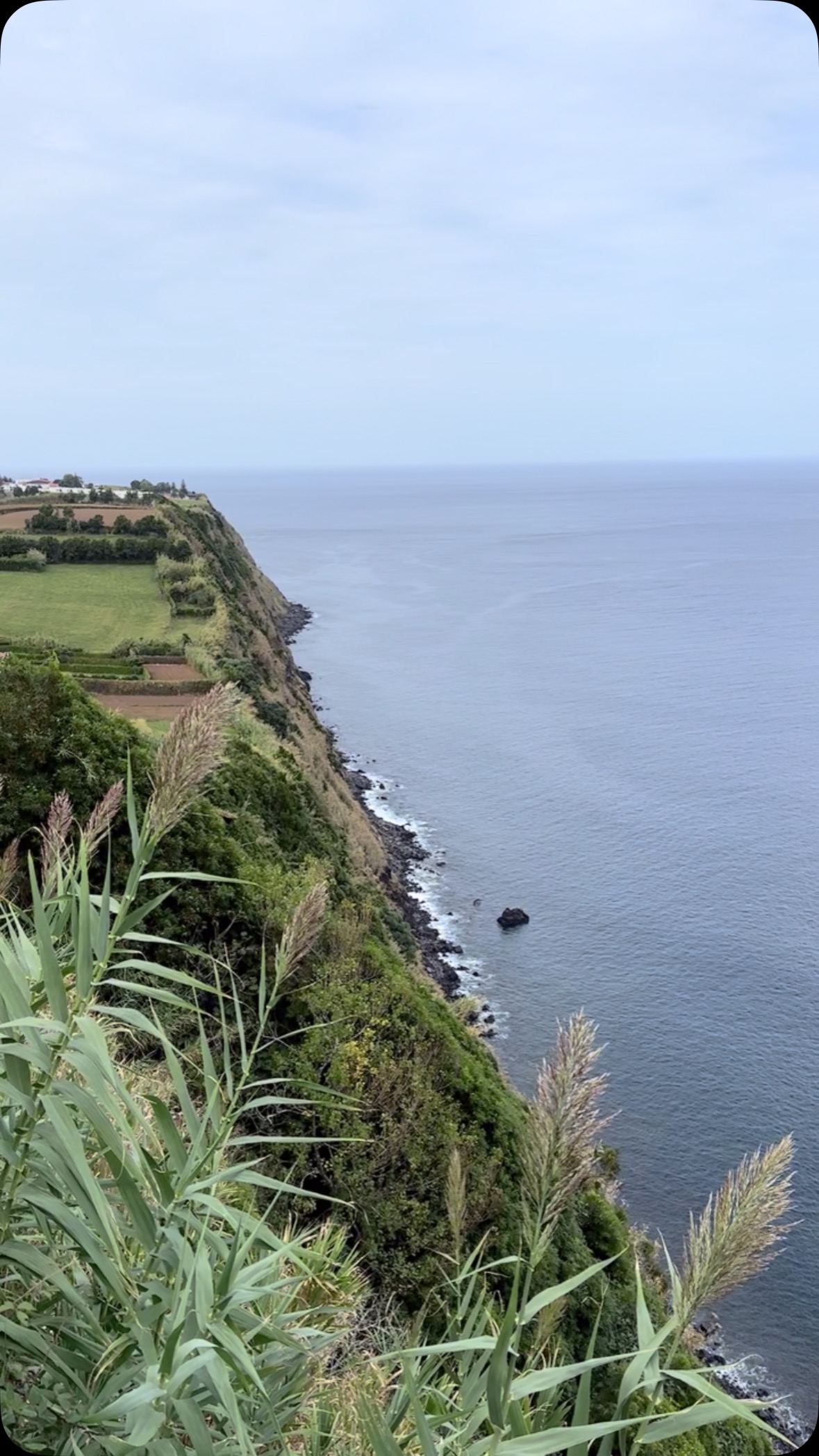 👋 2024. What a year. Lots of highs, lots of travel, lots of fun, lots of love. I'm not a resolution girl but I do like to have some goals going into the New Year and I do, I hope you do to. And I hope that 2025 brings you peace and joy and all the love and laughter you can take. All of it. Happy New Year 🎊