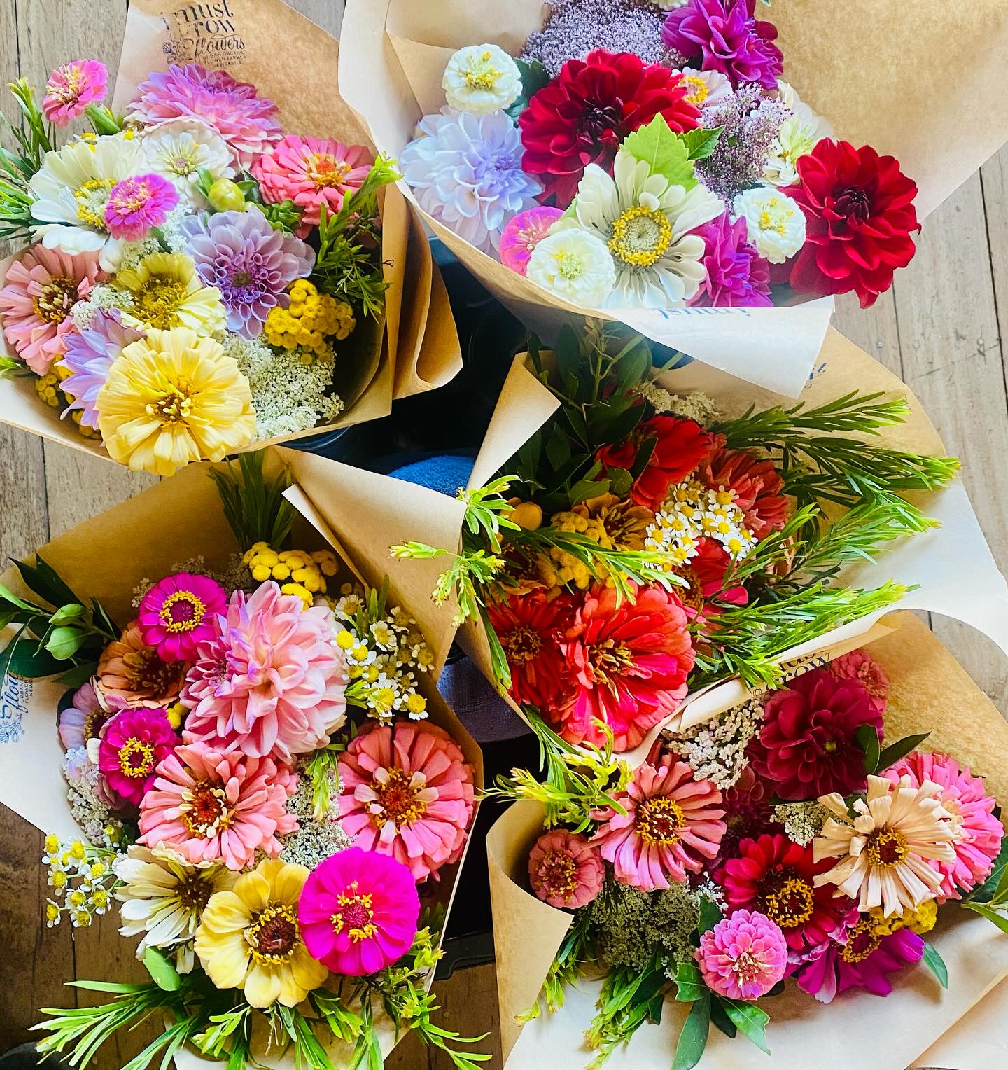 The garden is in full bloom and I’m pretty stoked to see that all the compulsive seed buying I’ve been doing over the past 6 months did grow into something so absolutely beautiful! Woohoo!!!
It’s a hot and dry summer here and Im spending everyday watering morning and evening trying to keep it all alive…. I realise that I have to invest in an irrigation system and feel a bit overwhelmed at the idea.
These bunches are available at @goodnessmeorganics in Adamstown. I hope you enjoy them as much as I’ve enjoyed growing them ❤️
#imustgrowflowers #organicflowers #newcastlensw #foryourkitchentable #imusthaveflowersalwaysandalways #seedaddict #icantstopbuyingseeds #floretseeds #growsomethinglovely 😉