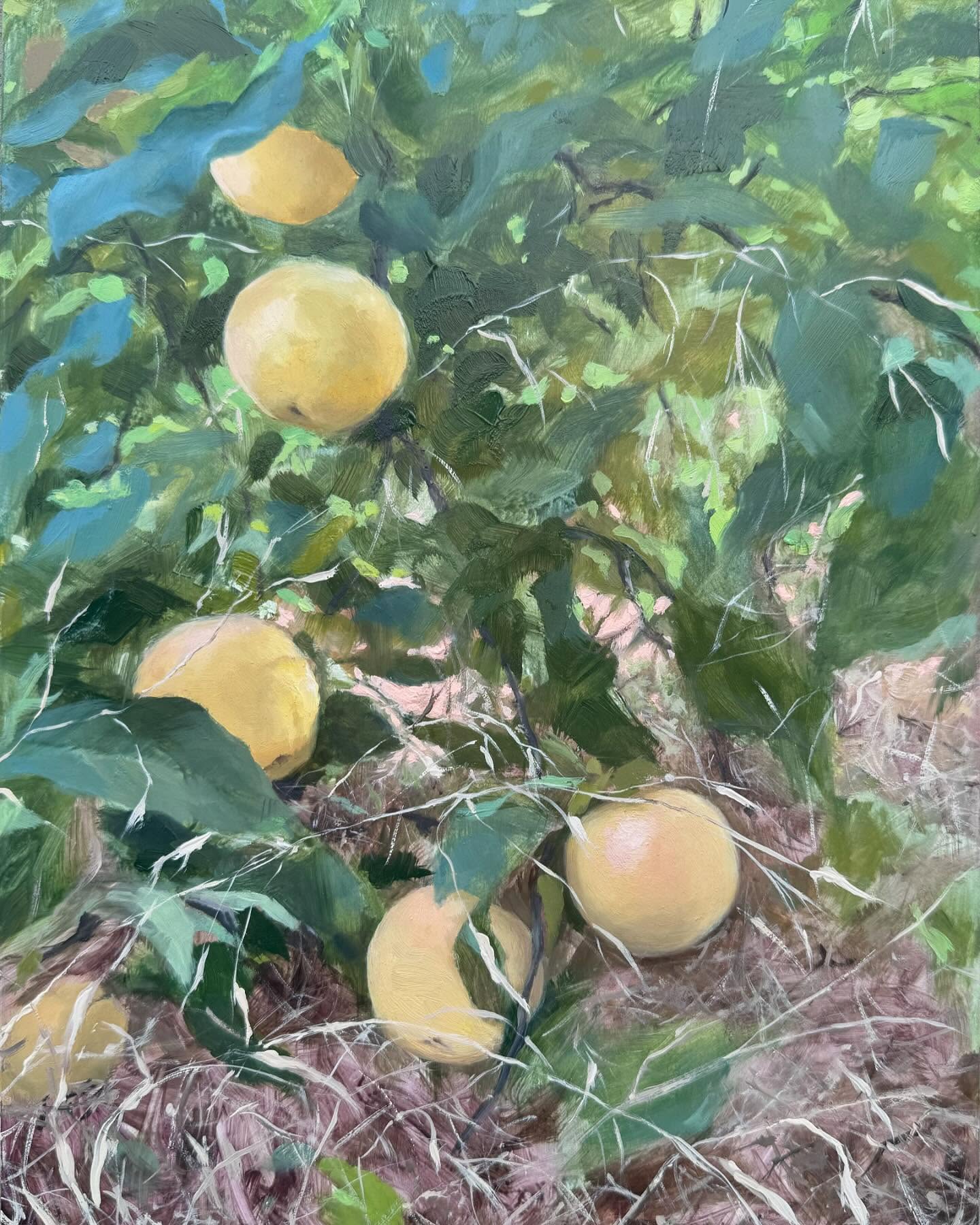 What do you think about New Year’s resolutions? I’m all in for them at the beginning! I usually set too many goals but this year I just have a few. This year I want to paint more consistently and to get out of my head and just make art because it has always been what I want to do. There are so many reasons not to, so many things that get in the way. So much comparison or guilt or just basic time management issues. But I can’t not paint! And if it wasn’t oil painting it would be creating art in some other medium (I might be hooking up my kiln and doing some hand painted ceramics again this year)! So here’s to a fresh start making art in 2025. What are you hoping to accomplish this year?