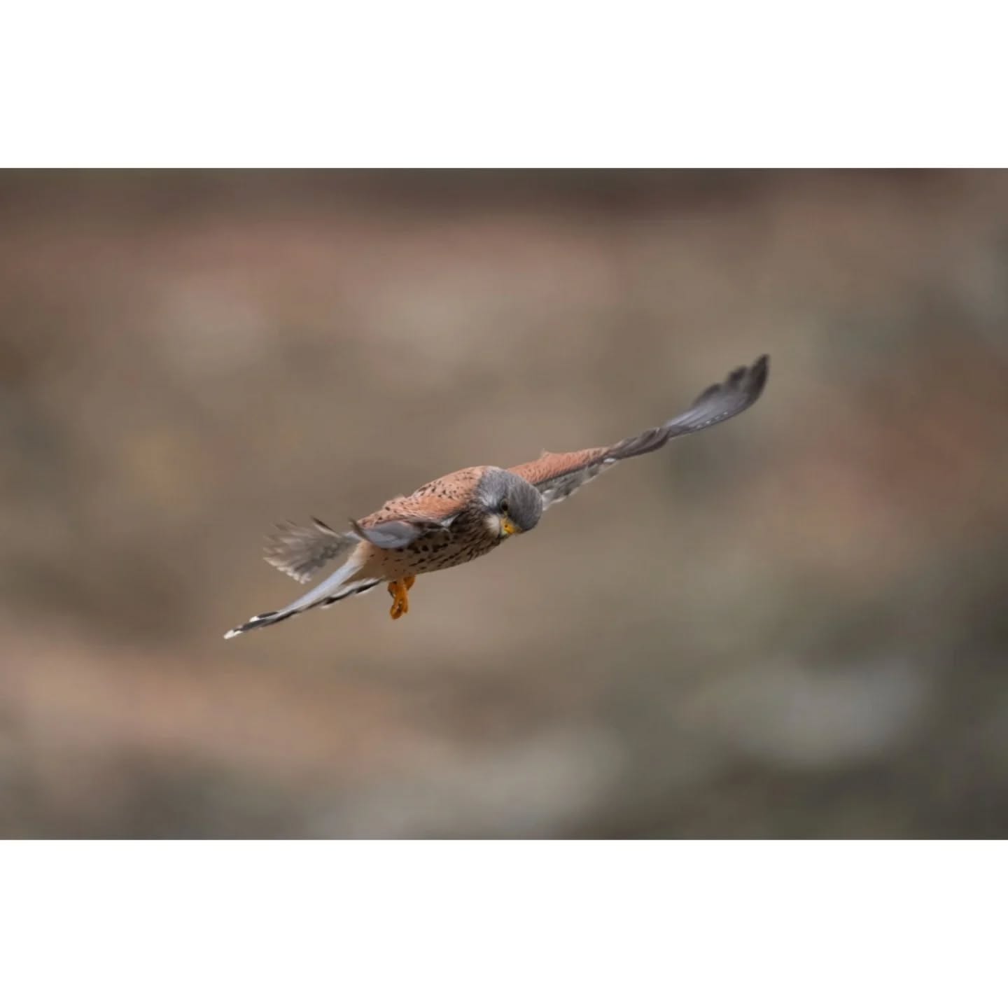 Back to the north coast, definitely found a cool spot