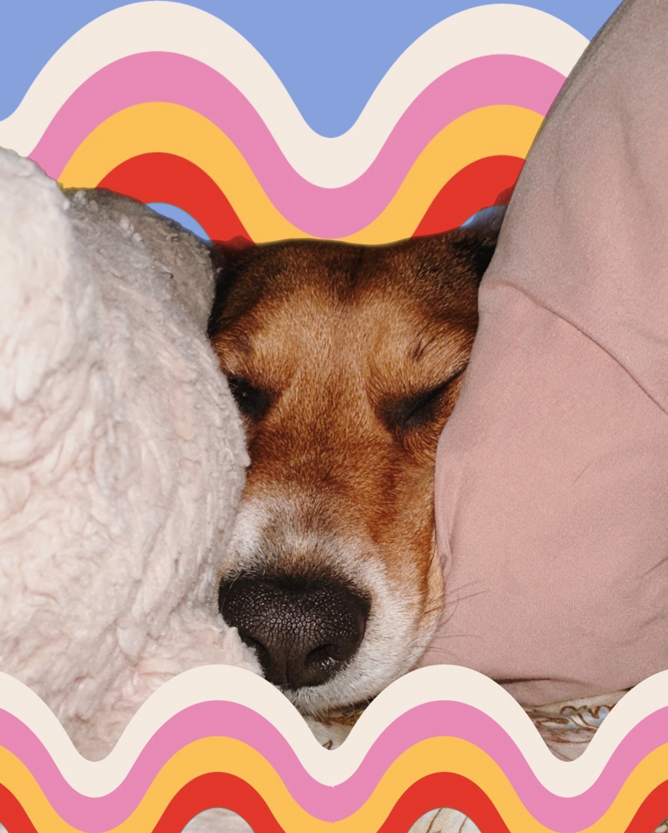 HEY don’t snooooze through the party !!! 🎉 Come out to Kid Rock’s roof tonight & hang with us for a little pre-2025 banger! See y’all there!