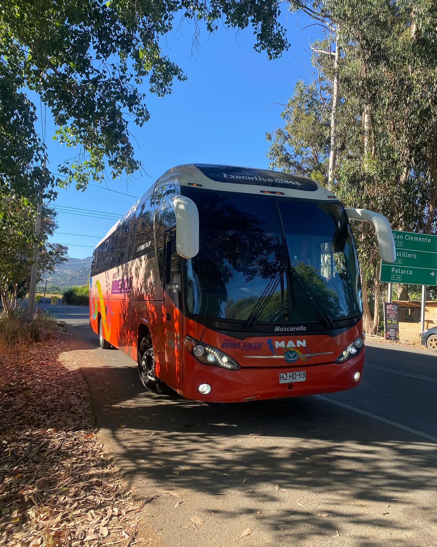YEEHAH!!!!! WAHOODY!!!! HURRAH!!!!!
Our first camp of the summer starts today and we’re soooooo excited. Session One, 2025 is going to be BEYOND EPIC!
Campers, we can’t wait to see you all, to be reunited, to meet new friends, to have a sensational experience together.
The farm and camp are ready and waiting for you: the bushes are heaving with blueberries, the gardens are bursting with flowers and the clubhouse is full of new games.
This photo was just taken and it is of our much loved driver, Franco leaving the farm to collect our Santiago campers. He will be there in three hours! :)
#summercampchile
#bestsummerever
#prefieroelmaule
#bringonthesummer
#campmákemáke
#campmakemake