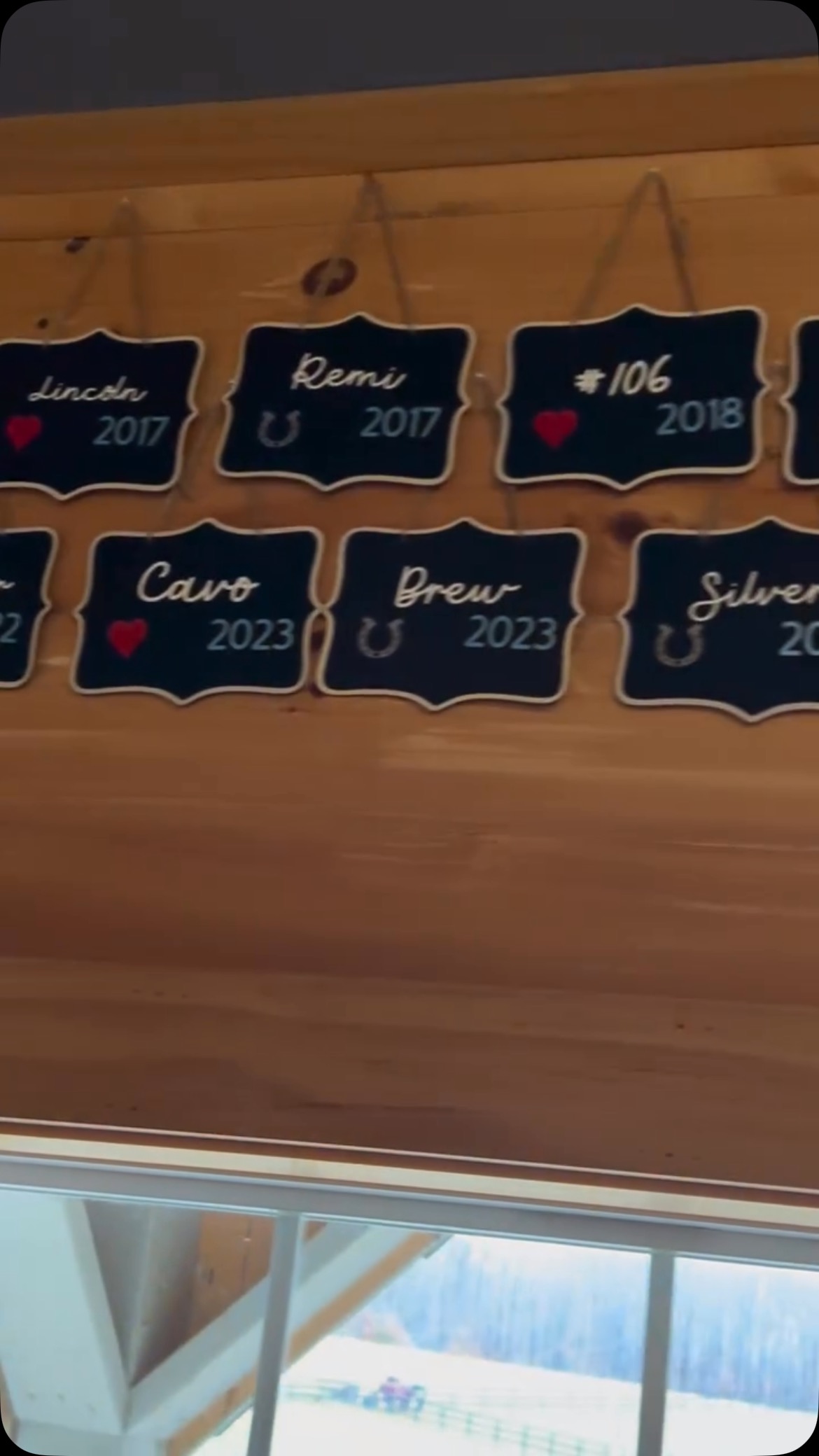 It’s easy to lose sight of my WHY in the day-to-day tasks. One of my volunteers created this visual of the horses we have helped through the years and I was blown away. I’m fortunate to be living out my purpose and I’m grateful for every single person who has been a part of my journey. Together, we have changed lives….More to come! 🐴🩵✨ #dreambig #horserescue #animalwelfare #liveyourpurpose