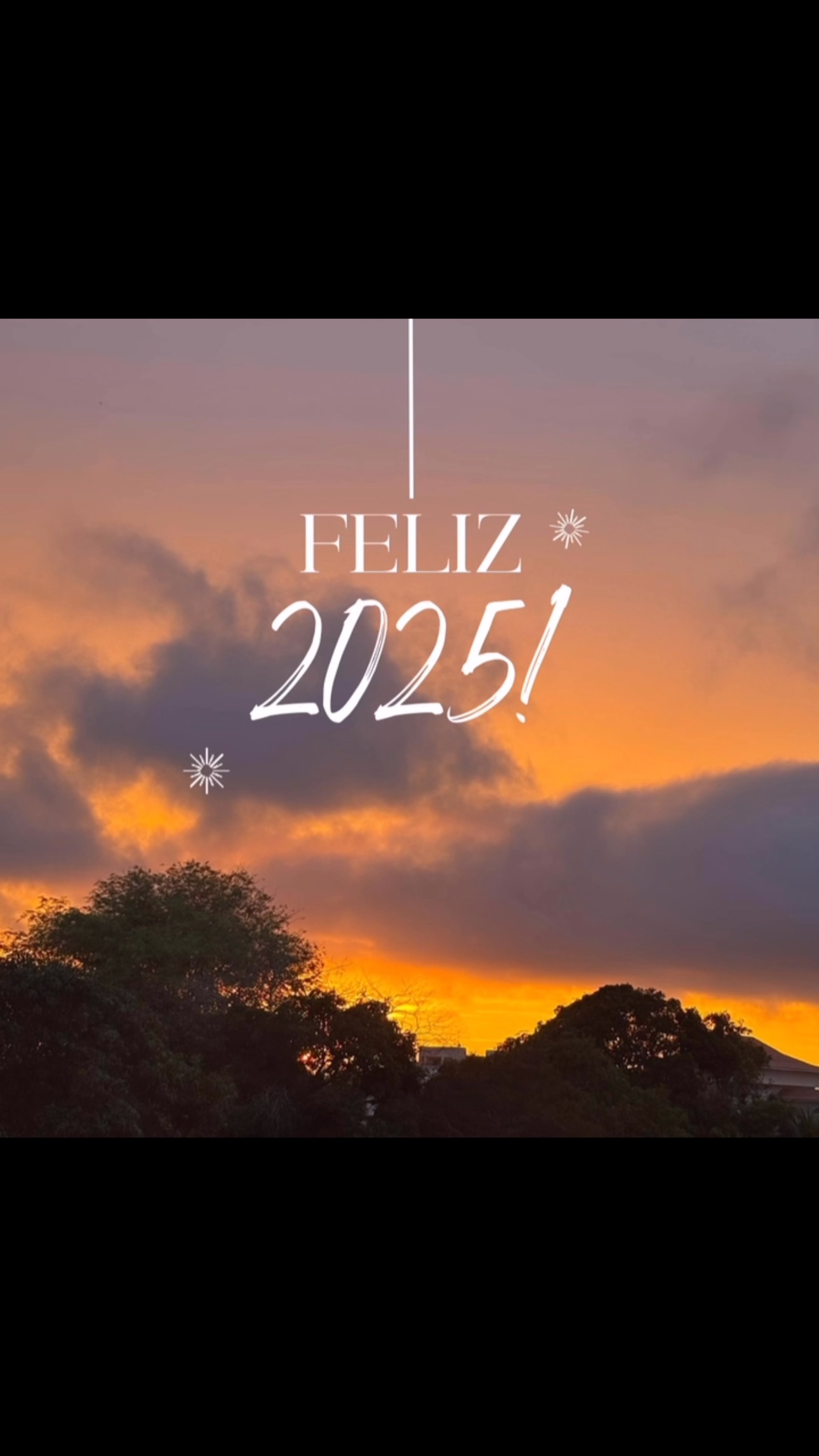 Saúde e alegrias em 2025!