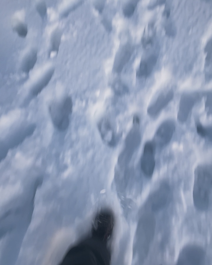 What a place to call home. ☺️
#westyorkshire #baildonmoor #hikinglife #adv #wintersunsets #snowday #fsgs #kidneytransplantrecipient