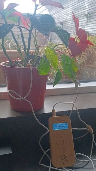 Nouvelles expérimentations, nouvel accompagnement toujours plus proche du vivant 🍀🌹🪴🌺
Une nouvelle expérience apporte un plus à vos soins énergétiques et massages en collaboration avec le monde végétal
#bienetre #luxembourg #massage #soinenergetique #sonothérapie #musicoftheplants