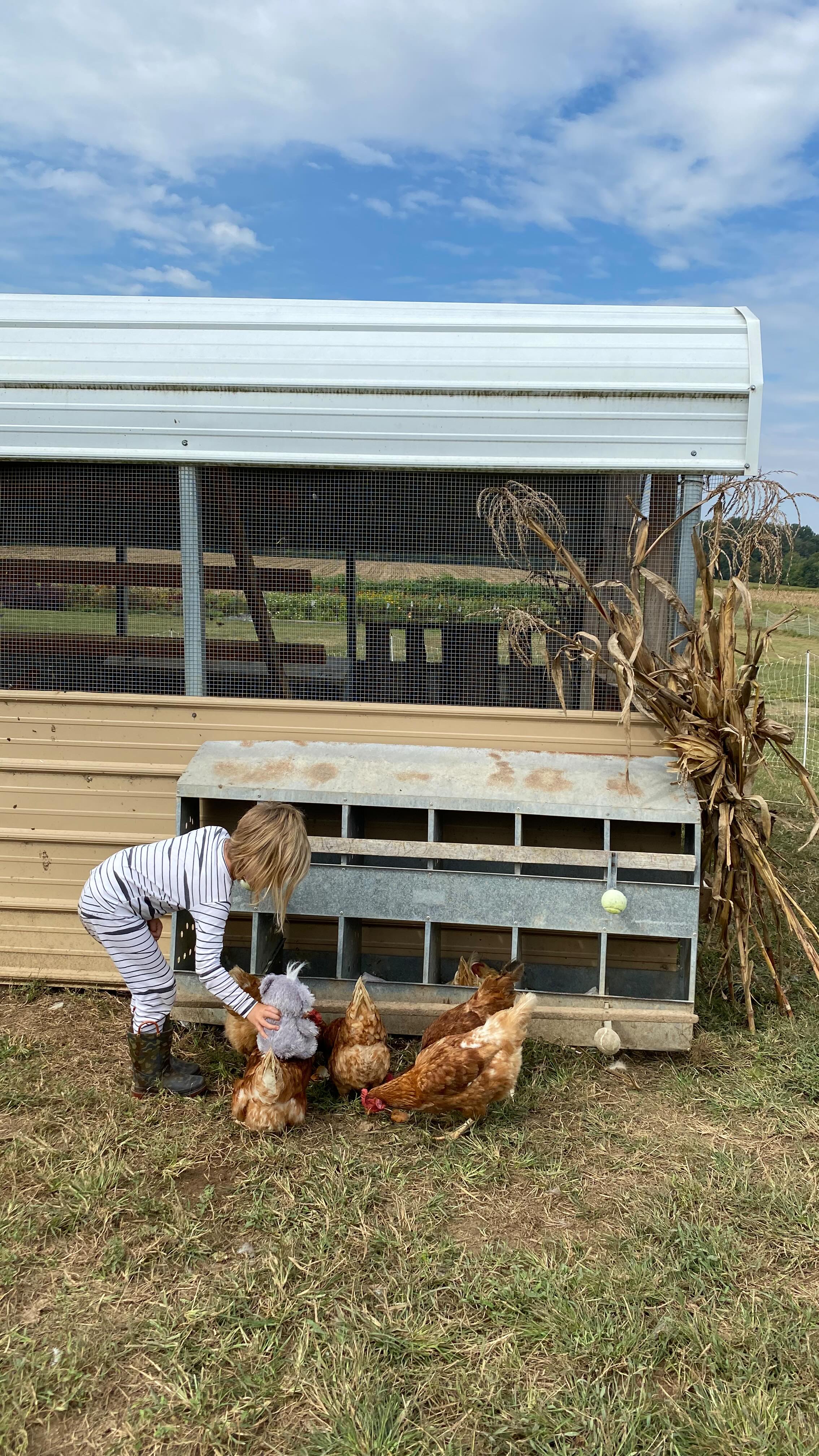 We are teachers, parents, and life partners learning out how to live a more sustainable life through farming. We started bought our farm in 2017 and have been learning on the go ever since. #wearefarmers #pasturedpoultry #regenerativeagriculture #pasturedeggs #smallfarm #growthmindset www.jamiesonfarm.org