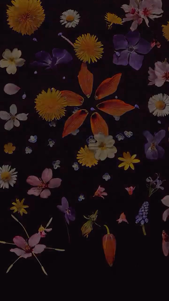 Nature's fireworks all up in 2025! Light up and bloom with us this year as we spread climate hope & action 🌸🌻🌺🌼🪷
🎥: @planted_journal