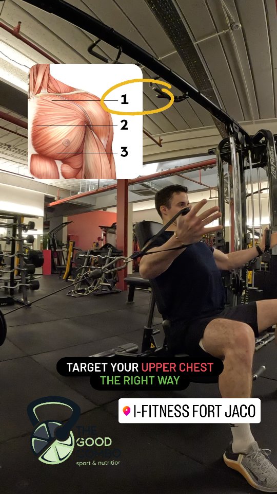 Here is one of my favourite upper chest combo to hit those fibers the right way using science 🧪
1) Cable adductions. Make sure to go slightly diagonaly upwards keeping the same angle in your elbows.
This is not a push up. We want here to minimise the triceps help.
2) inclined bench press.
Well this is one of the most underrated tip. DO NOT INCLINE YOUR BENCH TOO MUCH!
If you go around 45° the tension will mostly go into your delts rather than the chest.
Keep it to the first level and you'll hit them greatly.
Inclined barbell benches already made are in general too inclined.
Get your personal trainings with us in @ifitness.uccle for accurate science based trainings
#brussels #personaltrainer #belgiumfitness #belgium #injuryprevention #ereps #nutritionist #nutrition #explorepage #parcducinquantenaire #boisdelacambre #uccle