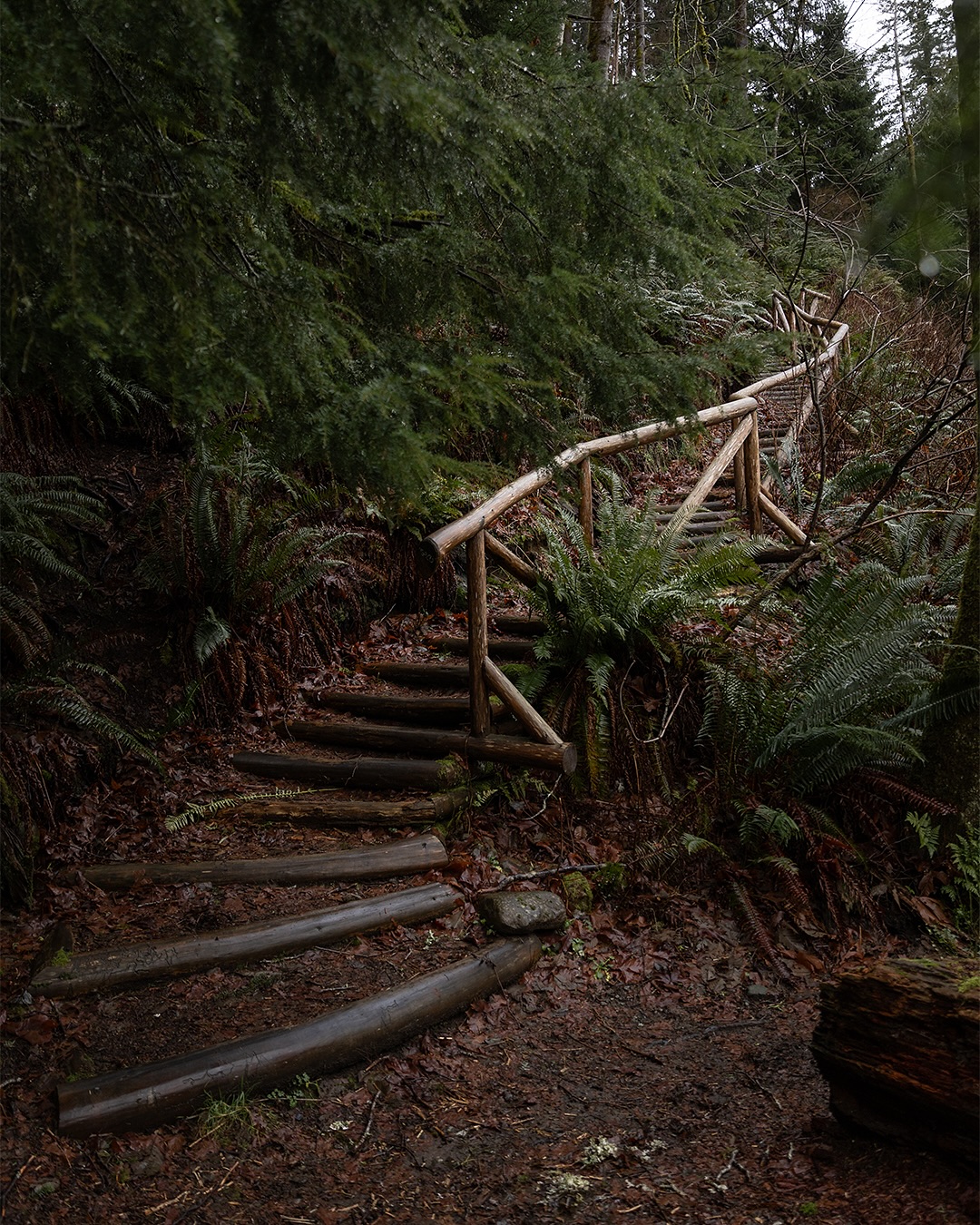 It might be a very rainy winter, but hiking in the rain ain’t so bad when the forest looks like this! Plus, the dog LOVES it!
Who else loves a rainy hike? Vote below!
.
.
.
.
.
#pnw #rainhike #campbellriver #winter #wetwinter
