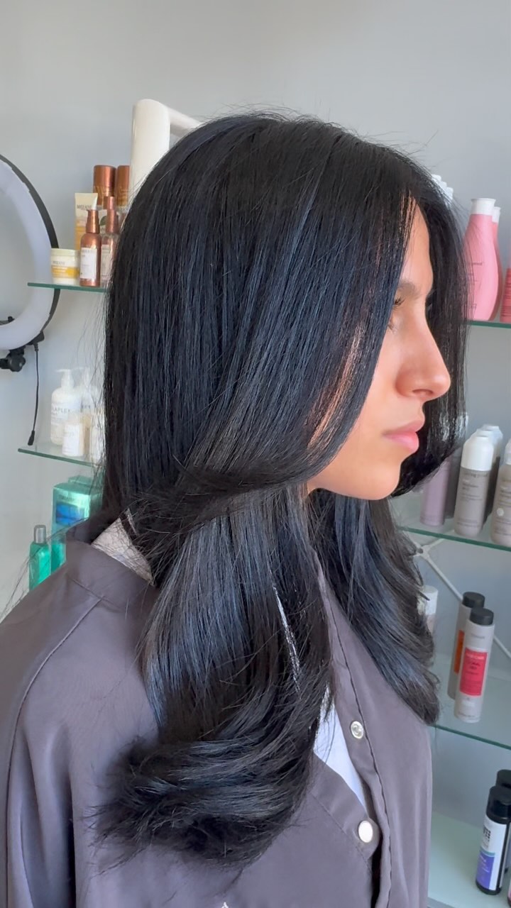 Full color dark brown and haircut & style!