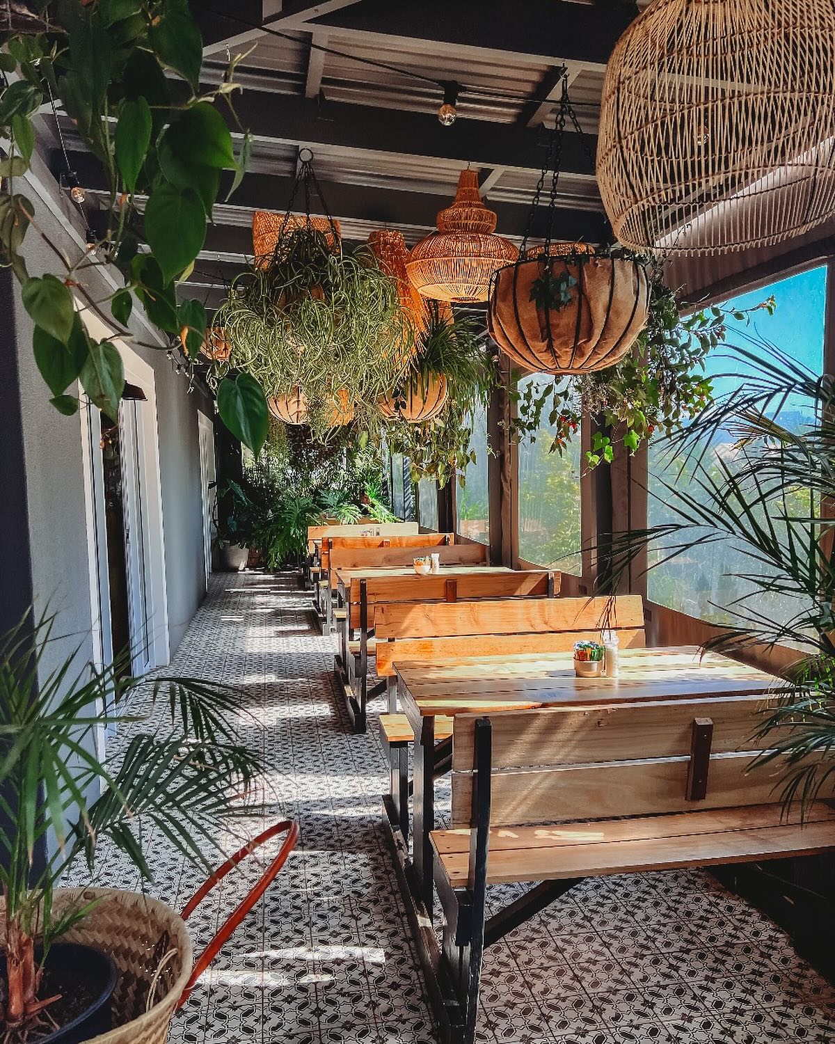 Step into our little urban jungle ✨ Tag your brunch buddy and let’s make today extra special 🥂