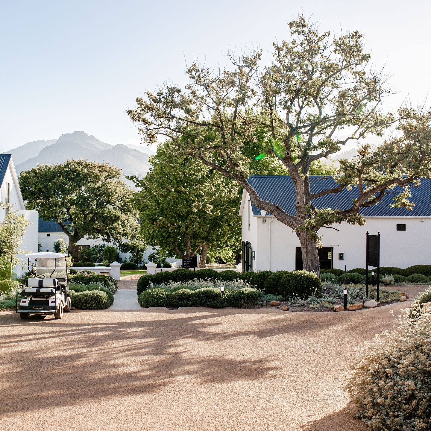 What a perfect afternoon we had on the farm yesterday.
There’s nothing like soaking in the beauty of nature.
.
.
.
#lacotte #lacottefarm
#franschhoek #Franschhoeklife
#beauty #nature #mountains