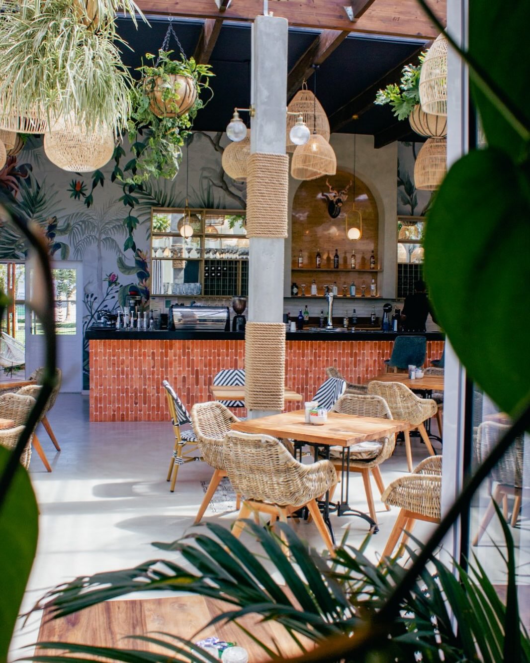 Find your seat, sip your coffee, and soak in the ambiance. This is your sign to slow down and enjoy the little things. 🌿