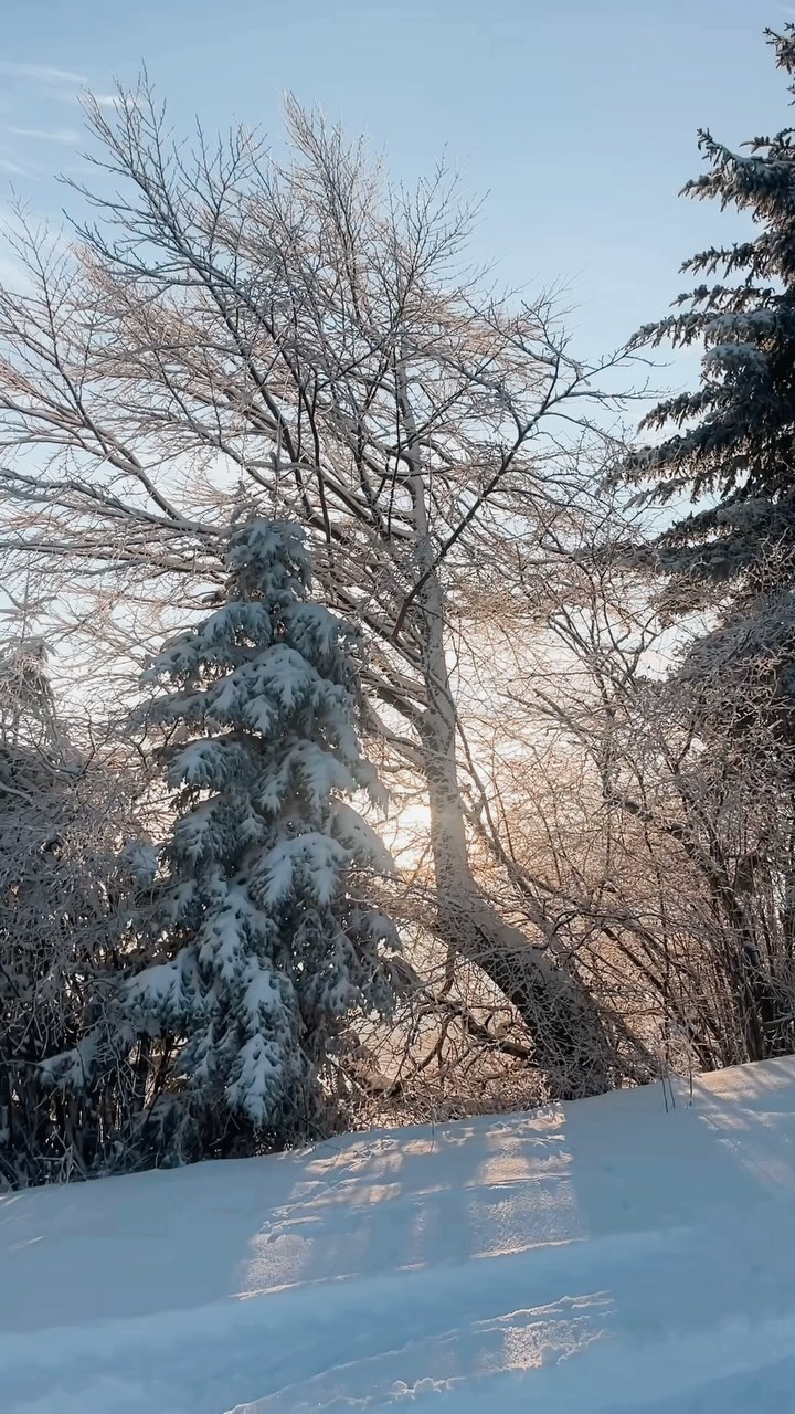 What a start into the day 💛
Zauberhafte Rauhnachtswanderung mit Regina Degasper 😍 @regina_begegnung_mit_der_natur
Dankbar für diese wunderschöne Erfahrung, die Zeit mit liebevollen Seelen, guten Gesprächen & leckerem Riebl zum Abschluss!
#rauhnacht #rauhnachtswanderung #räuchern #loslassen #dankbar #dankbarkeit #rauhnächte