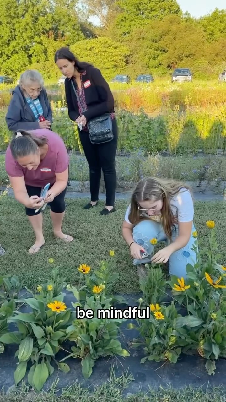 Nature’s Impact has been nominated for the Chronogram Readers’ Choice Awards in the Classes/Workshops category!
These workshops are our way of bringing people closer to nature and each other through art, and seeing this community grow has been such an incredible experience🌱
If you’ve ever joined one of our workshops and it has resonated with you, we’d love for your support.
🌿 How to Nominate Us to the next round:
Visit @chronogram website for readers choice award
Go to Education & Learning Category: Classes/Workshops
Submit your nomination by February 15th (You can vote once per day)
Thank you for helping us grow this beautiful community! 💚
One of our favorite workshops from 2024 was at @hudsonwildflower , where we created botanical dishes with @yelphudsonvalley We’re so excited for all the new workshops coming up this year in the Hudson Valley—check them out on our website!