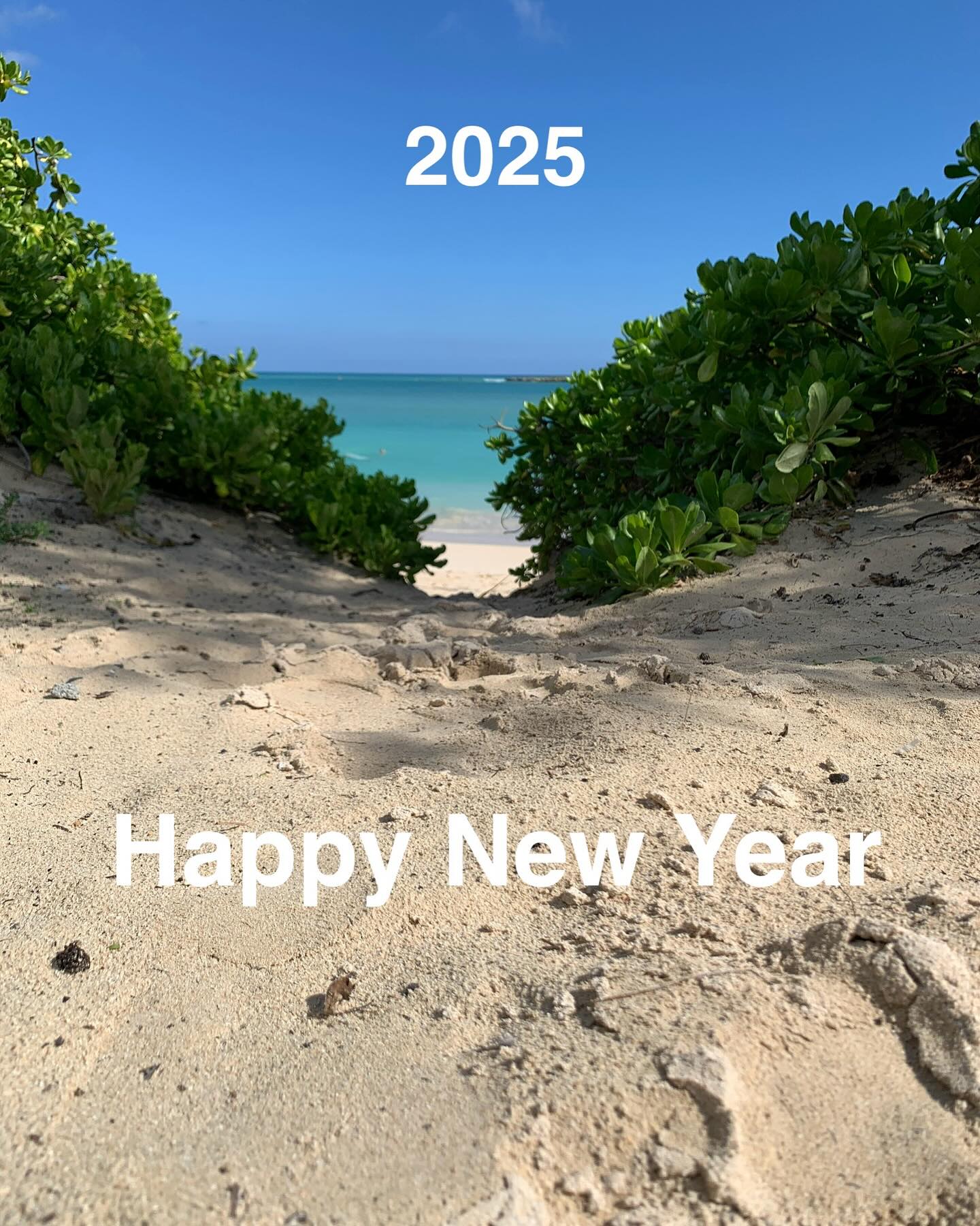 Happy New Year and a prosperous 2025!!!
