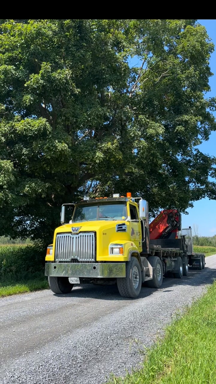 Wishing everyone a happy new year from all us at MCP.