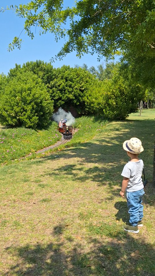 We're back! We hebben in de kerstvakantie weer veel inspiratie opgedaan voor met name kindvriendelijke uitjes rondom Kaapstad en zullen deze tips natuurlijk met jullie delen.
De eerste is @winelandsrail aan de R304 tussen Kaapstad, Stellenbosch en Paarl. Voor kinderen die van treintjes houden is dit de hemel op aarde want in een prachtig aangelegd park kun je voor R130 onbeperkt ritjes maken op elektrische treinen en ook historische stroomtreinen. Een speeltuin met overdekte zandbak (perfect in de warme zomer) en gigantische dinosaurussen maken het uitje compleet. Een absolute aanrader voor ouders met kleuters!
#zuidafrika #stellenbosch #capetownwithkids #zuidafrikametkinderen #maatwerkreizen #reisadvies #reizenmetkinderen #winelands #trein