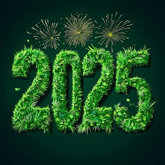 🍃 Happy New Year! 🍃 We’re thrilled to kick off 2025 and get back to trading on January 20th! The year ahead is full of exciting new challenges and we’re ready to seize every moment and make it our best year yet! Let’s go! #awesometurf #buffaloturf #kikuyuturf #turfsupplies #turfwindsor #turf #turfgrass #landscapes #readyfor2025 #grass #lawn #lawncare #turffarmer