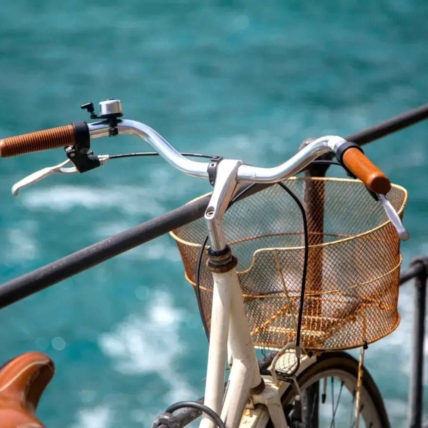 🚴♂️🌞 Fahrrad-Abenteuer an der Costa Dorada: Sonne, Meer und unvergessliche Routen! 🌊🚴♀️
Bock auf einen aktiven Urlaub? Pack dein Rad ein (oder leihe dir eins) und erlebe die Costa Dorada auf zwei Rädern! 🌅 Zwischen atemberaubenden Küstenausblicken, malerischen Dörfern und einem chilligen Ferienhaus mit Pool – nur wenige Minuten vom Meer entfernt – wird dein Fahrradurlaub in Spanien ein echtes Highlight!
🏖️ 6 Tage Abenteuer, die du nicht vergessen wirst: ✅ Übernachtung in einem Ferienhaus mit Pool
✅ 4 epische Fahrradtouren – von Küste bis Delta Ebro
✅ Individuell wählbare Touren:
1️⃣ Delta Ebro – Natur pur! Touren zwischen 13-45 km
2️⃣ Cambrils bis Salou – 20 km entlang der Küste
3️⃣ Miami Platja & Hospitalet Infant – 13 km durch geheime Buchten
4️⃣ Mont-Roig entdecken – 20 km zwischen Olivenhainen
💪 Alle Routen sind dabei, plus geheime Restaurant-Tipps für die besten Pausen und Power-Stopps!
Perfekt für Frühling und Herbst – das milde Klima macht jede Tour zum Genuss. 🌞
Preise:
🏠 Übernachtung ab 120 € pro Person für 5 Nächte (min. 6 Personen)
🚲 Leihrad ab 55 € für 5 Tage
⚡ EBike ab 110 € für 5 Tage
🔗 Jetzt buchen und die Costa Dorada auf zwei Rädern erleben!
Tagge deine Freunde, die mit dir losradeln wollen!
#CostaDorada #fahrradtour #RadAbenteuer #fahrradfahren #radreise #fahrradurlaub #spanienreise #SpanienEntdecken #radeln #radelnmachtglücklich #aktivurlaub #aktiv #aktivleben #freunde #urlaubmitfreunden #urlaub #urlaubsreif #sonnetanken #meeresrauschen #meeresluft #meerliebe #küstenlandschaft #olivenbaum #ebike #ebiketour #cambrils #salou #miamiplatja #mittelmeer
https://www.seasidecostadorada.com/radreise-spanien