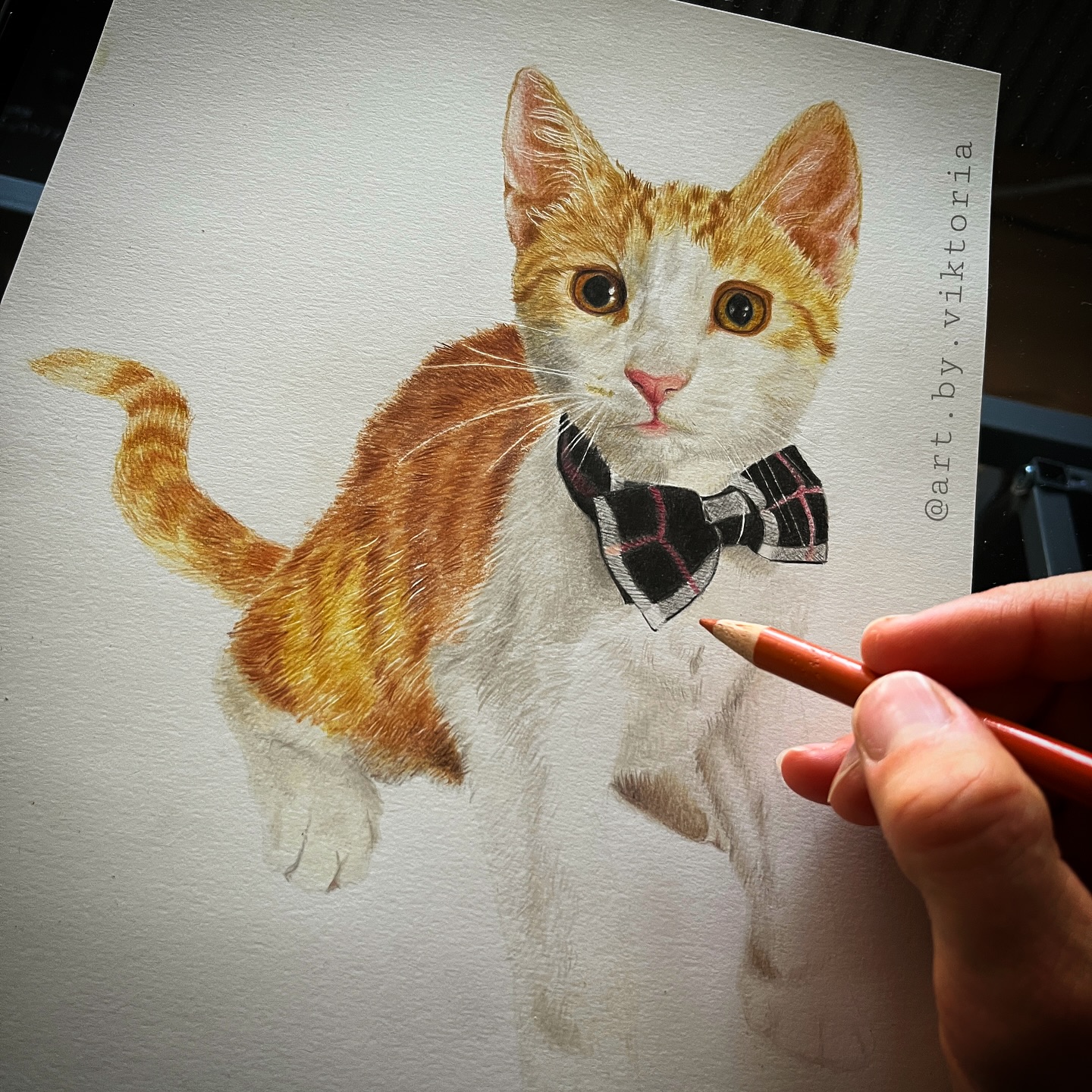 Ins neue Jahr geht es mit einer neuen Zeichnung.✍🏼
DIN A4, mit Farbstift gezeichnet.
🐈🧡🐈🧡🐈🧡
#tierportrait #catdrawing #farbstiftzeichnung #polychromosfabercastell #katzen #artbyviktoria