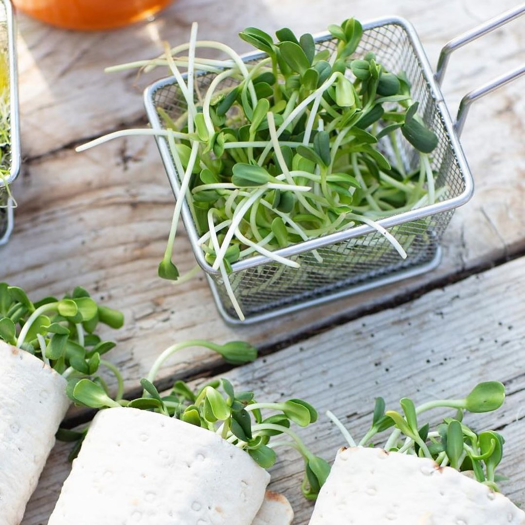 Solrosskott – krispiga näringsbomber! 🌱💚
Har du testat solrosskott? De är inte bara krispiga och goda – de är också fyllda med växtbaserat protein, järn, magnesium och antioxidanter! Perfekta för dig som vill boosta kosten med naturlig energi. 💪🏼✨
Hur använder du dem?
Ha sallader för extra crunch
Perfekt topping på exempelvis en avokadomacka
Mixa i en smoothie
Blanda i en wok eller pastarätt
Med sin milda, lite nötiga smak passar solrosskott till det mesta 🌱
Saknar du solrosskott i din butik? Fråga i butiken så kan de beställa hem! 🤩
#solrosskott #nyttogront #nyttigt #närodlat #frånsverige
Foto: @annikasnaturligating ✨