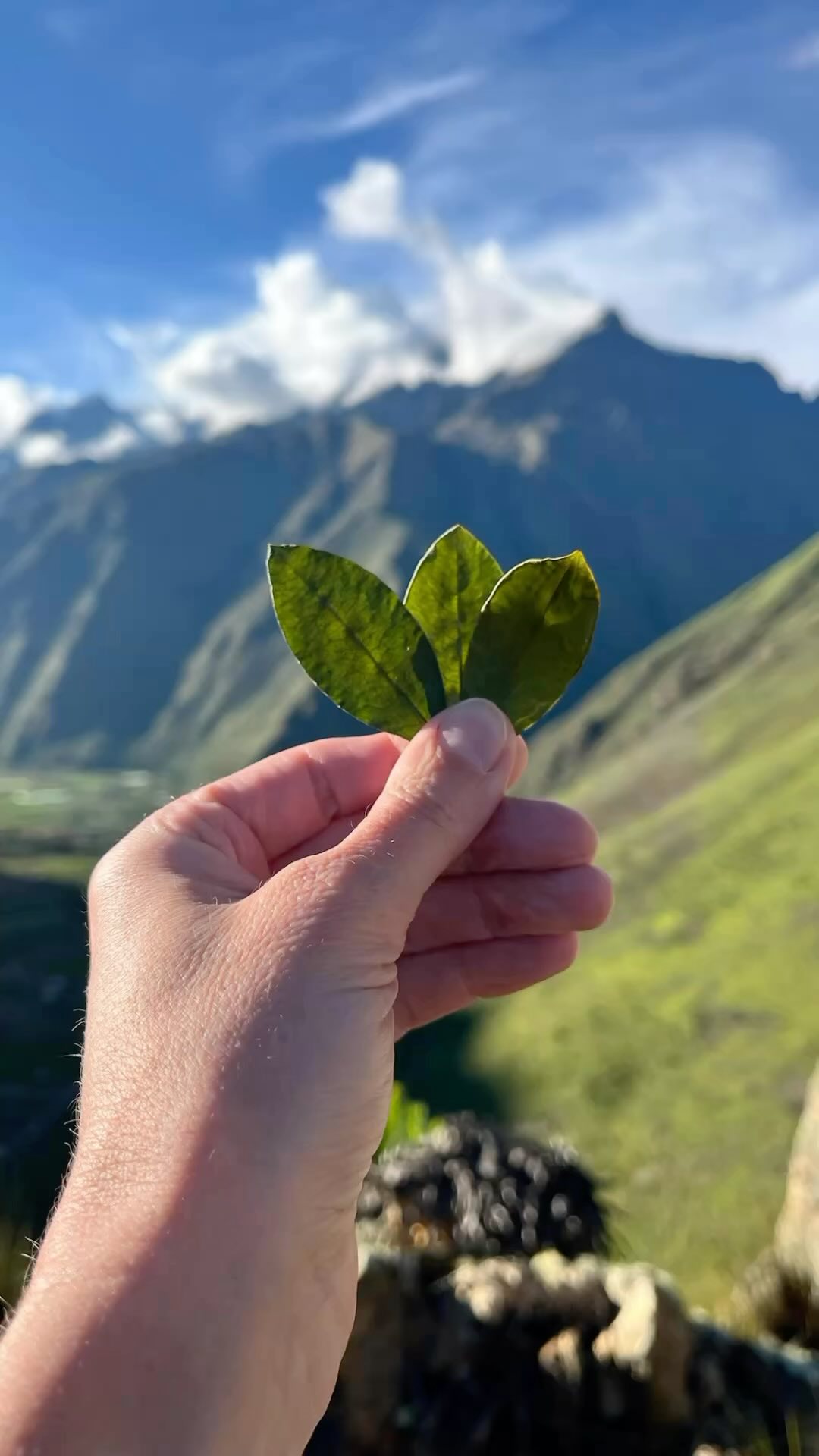 Comment mettre des mots sur une expérience qui va bien au-delà d’un simple voyage ? Une immersion humaine et spirituelle, sur les traces des Incas, qui résonne au plus profond du corps, de l’âme et de l’esprit.
Nous rentrons de 10
Jours dans la Vallée Sacrée , allégées, vivifiées et nourries d’une énergie pure, vivante et emplie d’Amour.
✨ Cérémonie de la Coca avec le Curandero Don Carlos ✨
#VoyageSacré #rdvets
#ÉnergieVibrante #Cérémonie #Pérou #incas #apus #voyagerautrement #voyagesinterieurs