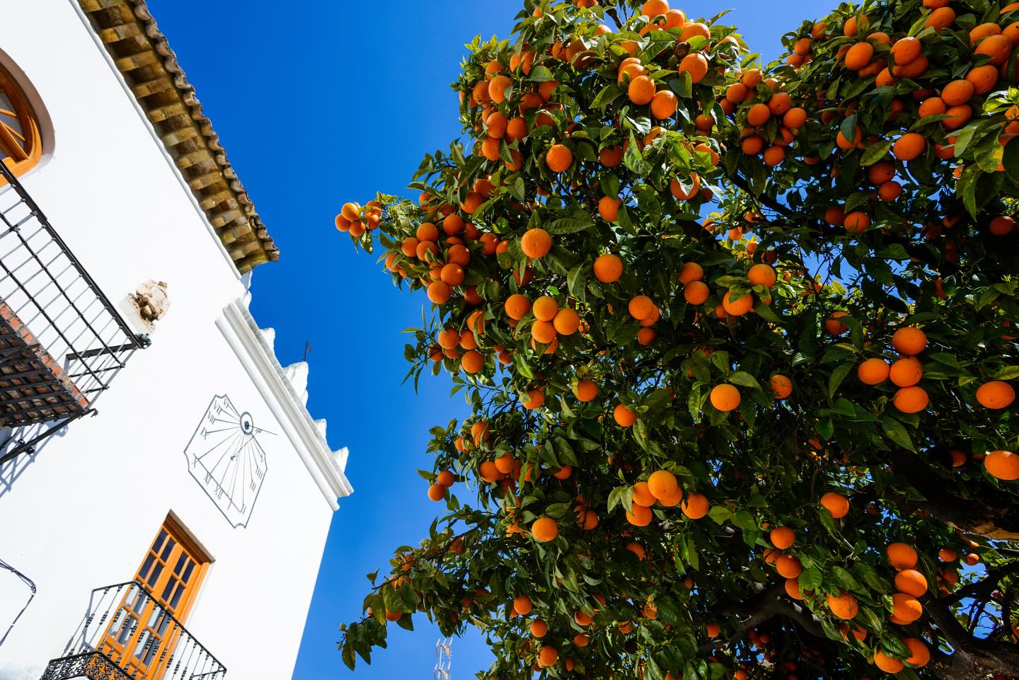 ✨The World’s top cities for Expats by Forbes I Where the expats are the happiest in the World 🌎
Whether you’re planning to relocate or invest in a second home, Malaga and the Costa del Sol, this Andalusian gem, is the perfect destination.
Read full article here 👉🏼
https://www.signature-properties.es/blog
#expatlife #marbellalifestyle #costadelsollife #malagalife #sunshine #expatinspain #relocatetomarbella #qualitylife #forbes