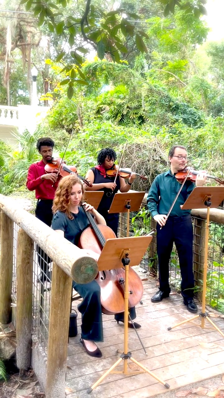 What's your dream wedding song?