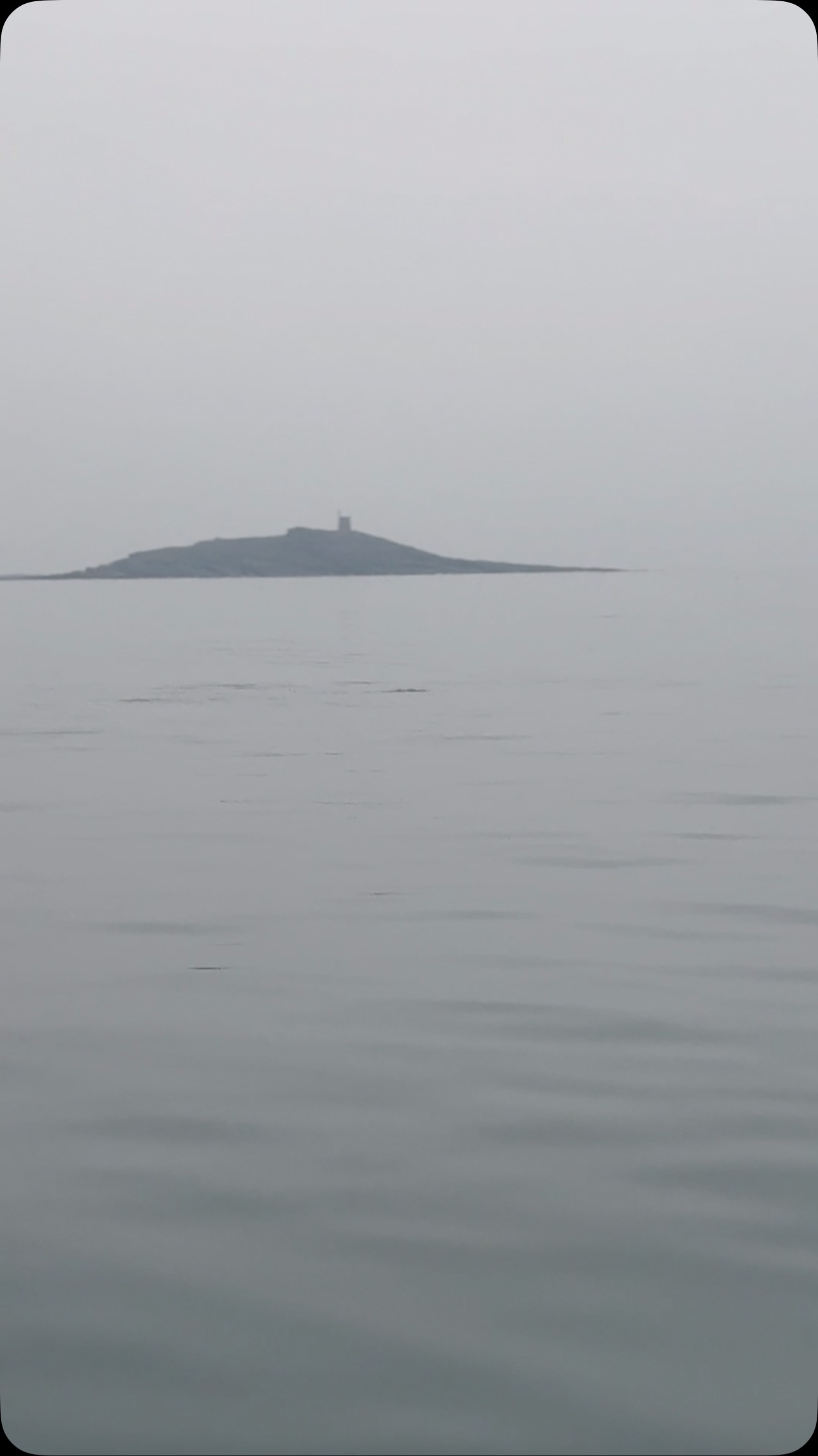 De la brume, une mer d’huile et des dauphins, un peu de calme hier avant la tempête 🐬🌪️💨💦
#providence #poisson #fish #local #ultrafrais #coquillessaintjacques #coquillesstjacques
#venteendirectdupecheur #femmemarinpecheur
#erquy #erquytourisme #bretagne
#bretagnetourisme #mydinancapfrehel #bretagneforever #capderquyvalandre #pourdebon #expedition #24h