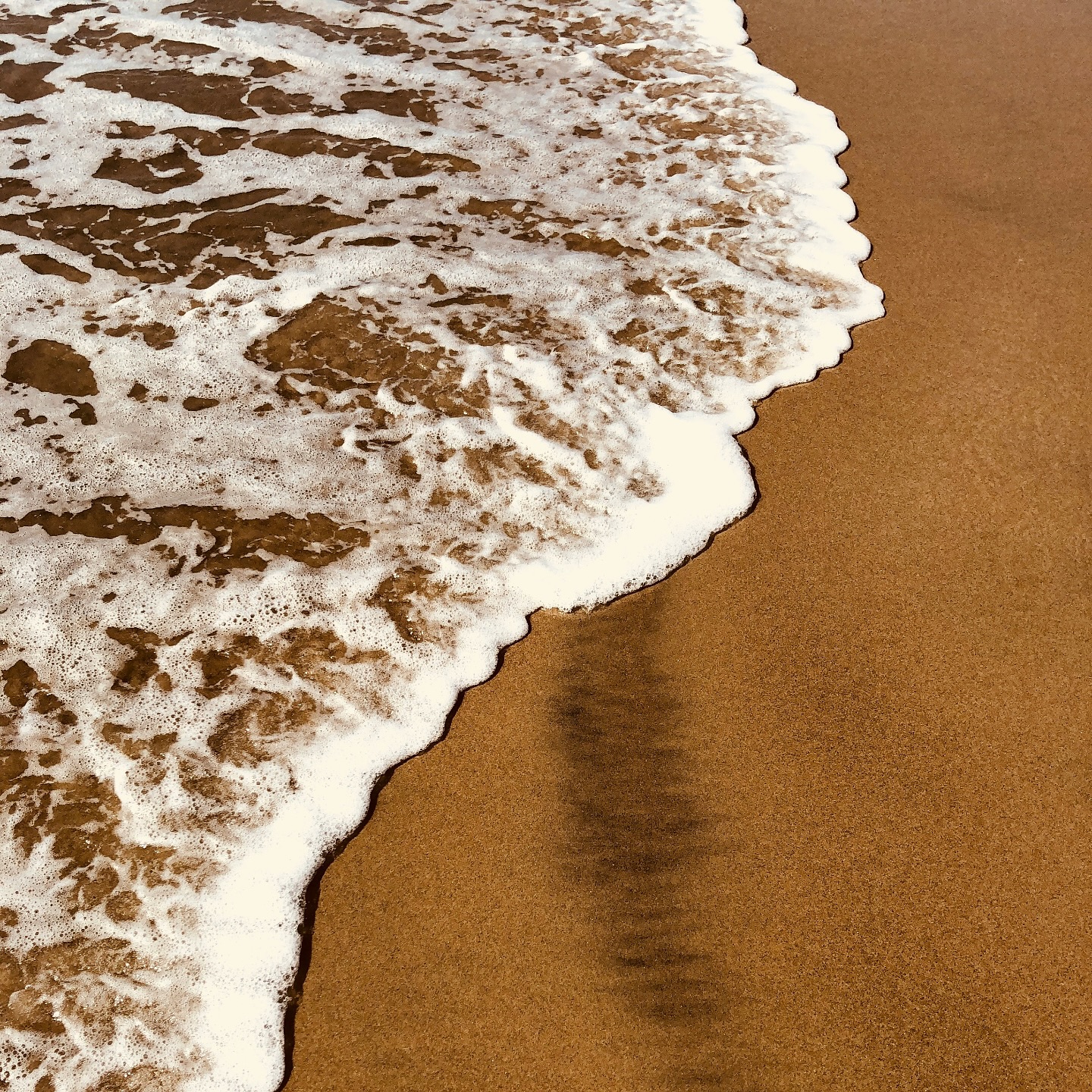 La guérison peut être un long processus, une quête extérieure. Mais parfois, elle commence par quelque chose de plus simple, de plus puissant : un choix.
💨 Choisir de respirer – profondément, pleinement, laisser l’air entrer là où tout était figé.
🔥 Choisir de sentir – même l’inconfort, même ce qui a été enfoui trop longtemps.
💧 Choisir de relâcher – comme l’eau qui purifie, qui emporte avec elle ce qui n’a plus lieu d’être.
Le breathwork, c’est cette vague intérieure qui vient balayer les tensions, dissoudre ce qui stagne et laisser place à un nouvel espace, plus fluide, plus léger.
Laisse-toi traverser. Respire profondément. Relâche.
✨Prochaine session en groupe : dim 13 avril à 9h
✨Séance individuelle : sur rendez-vous.
Et toi, qu’es-tu prêt.e à laisser partir ? 💫❤️
Lieu : Physiothérapie Haeberli, Avenue de Bellevaux 12, 2000 Neuchâtel
Infos et inscriptions en DM