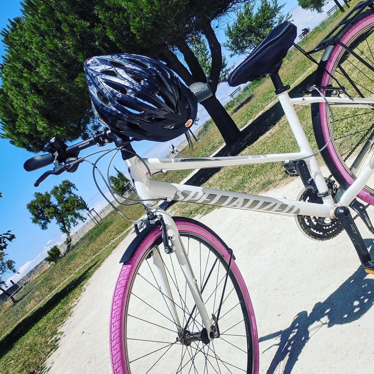 The beauty of pink tyres for cycling around Île de Ré
@lesvelosdemathilde.fr
Saint Martin de Ré, France #lesvelosdemathilde #ilederé #stmartinderé
#ilederé
#destinationiledere
#boisplageenré
#frenchisland
#ilederelifestyle
#iledere
#îlederé
#leboisplageenré