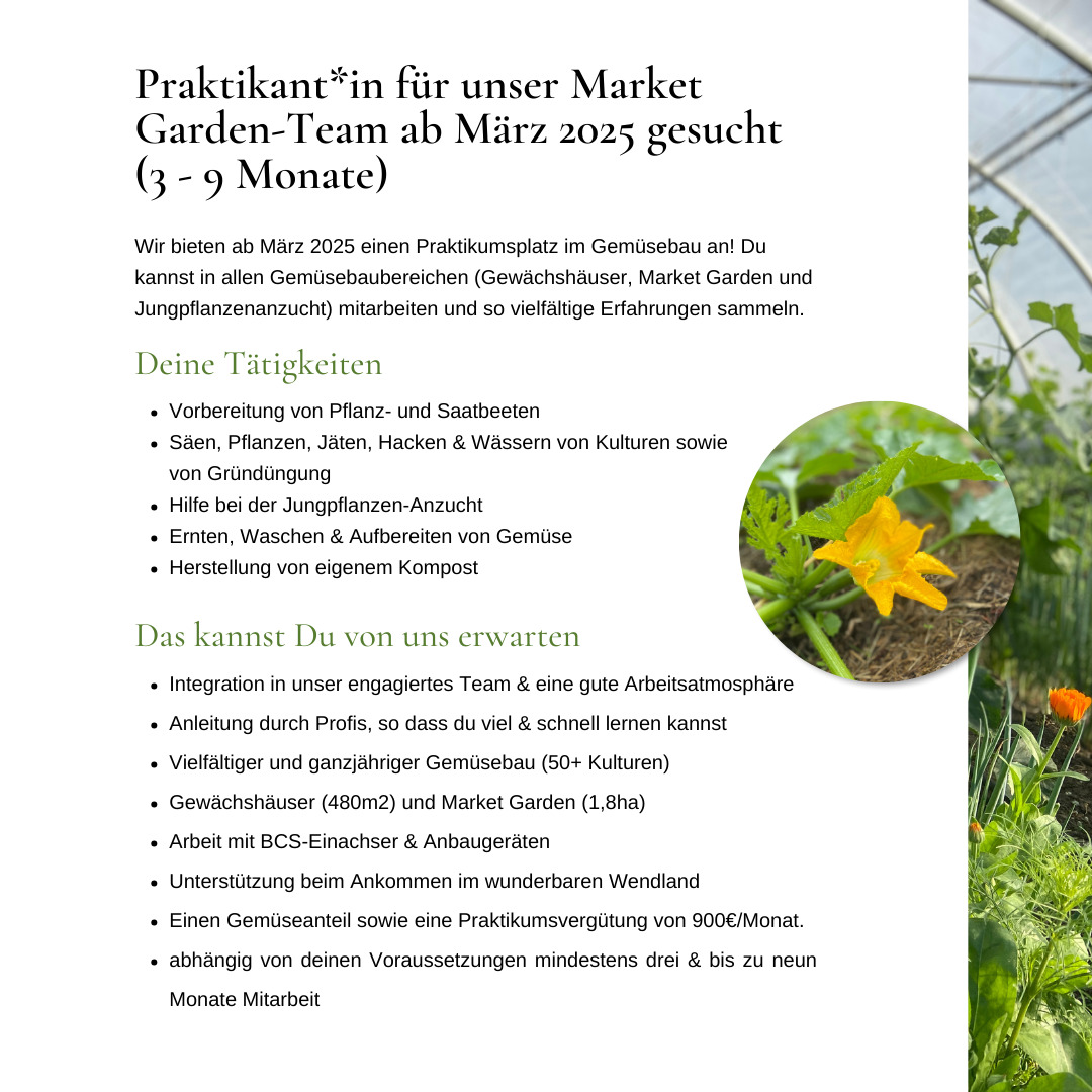 #hitzacker #wendland #gemüsebau #solawi #marketgarden #marketgardening #marketgardner #csa #solidarischelandwirtschaft #elbtalaue #marktgärtnerei #marktgärtnereigründen